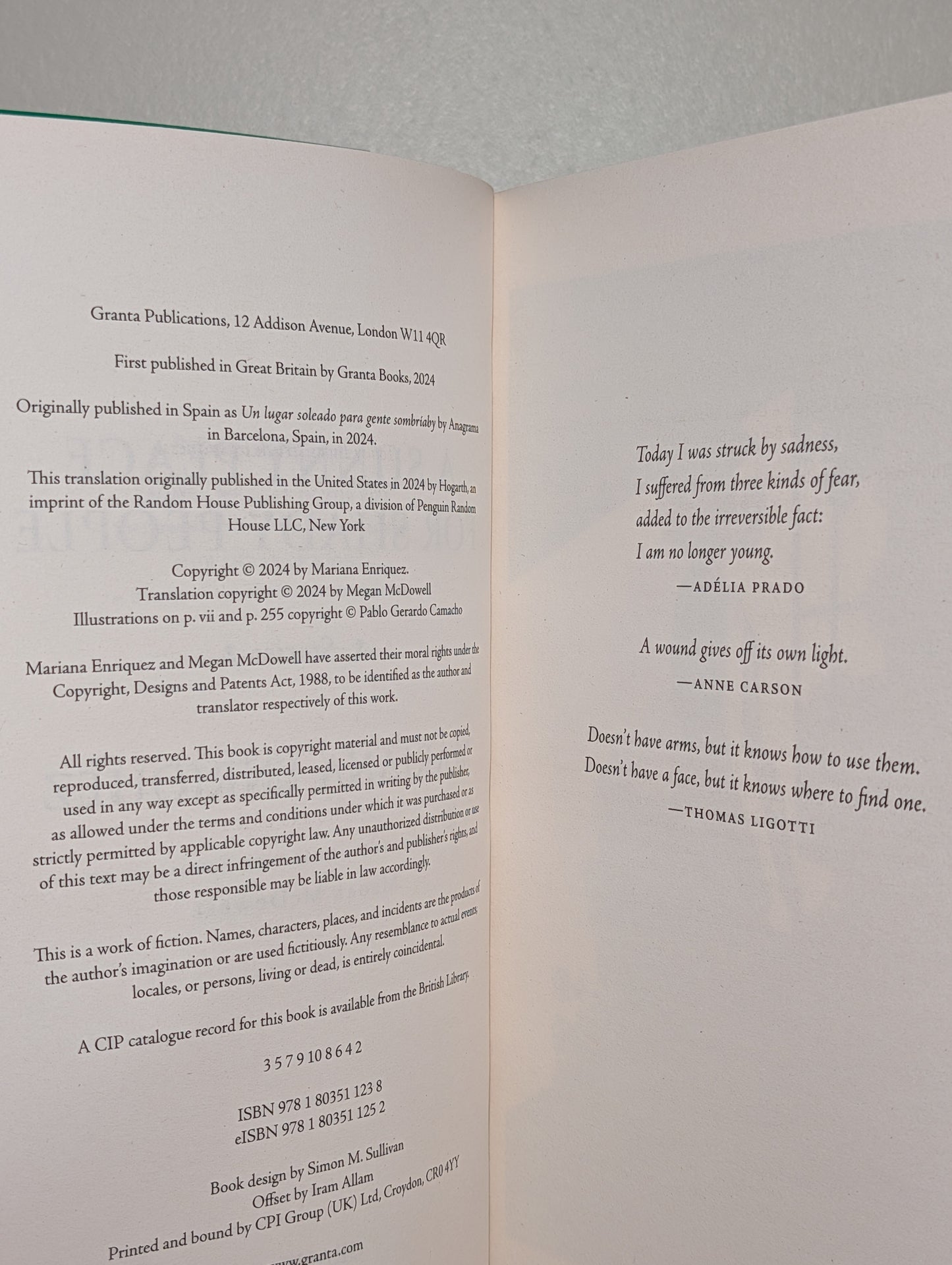 A Sunny Place for Shady People by Mariana Enriquez