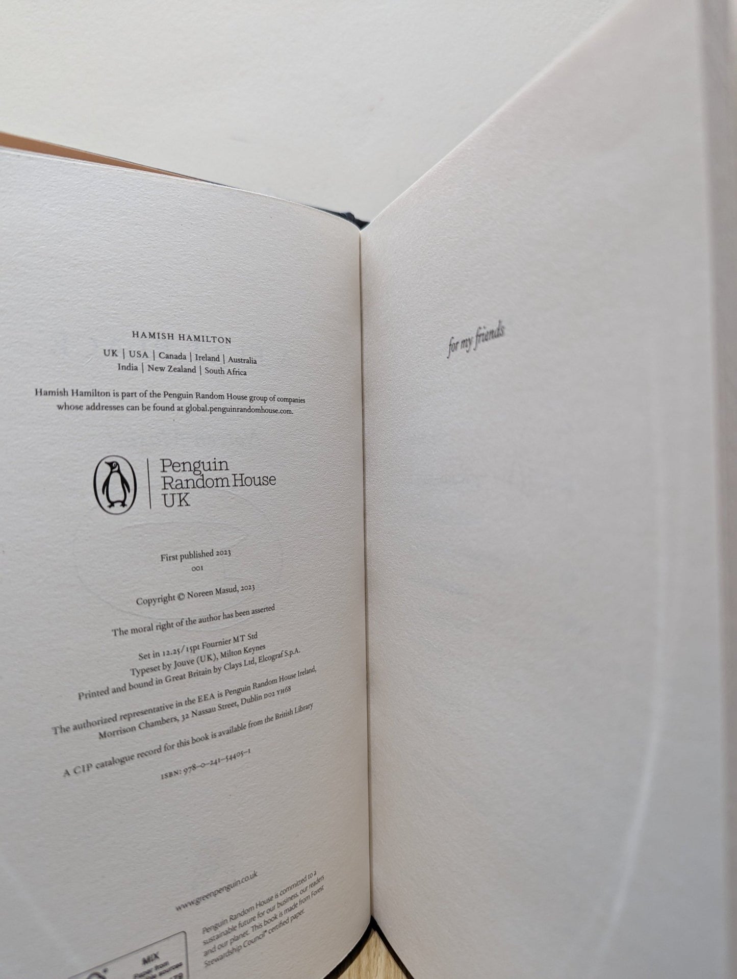 A Flat Place by Noreen Masud (First Edition) - Fialta Books