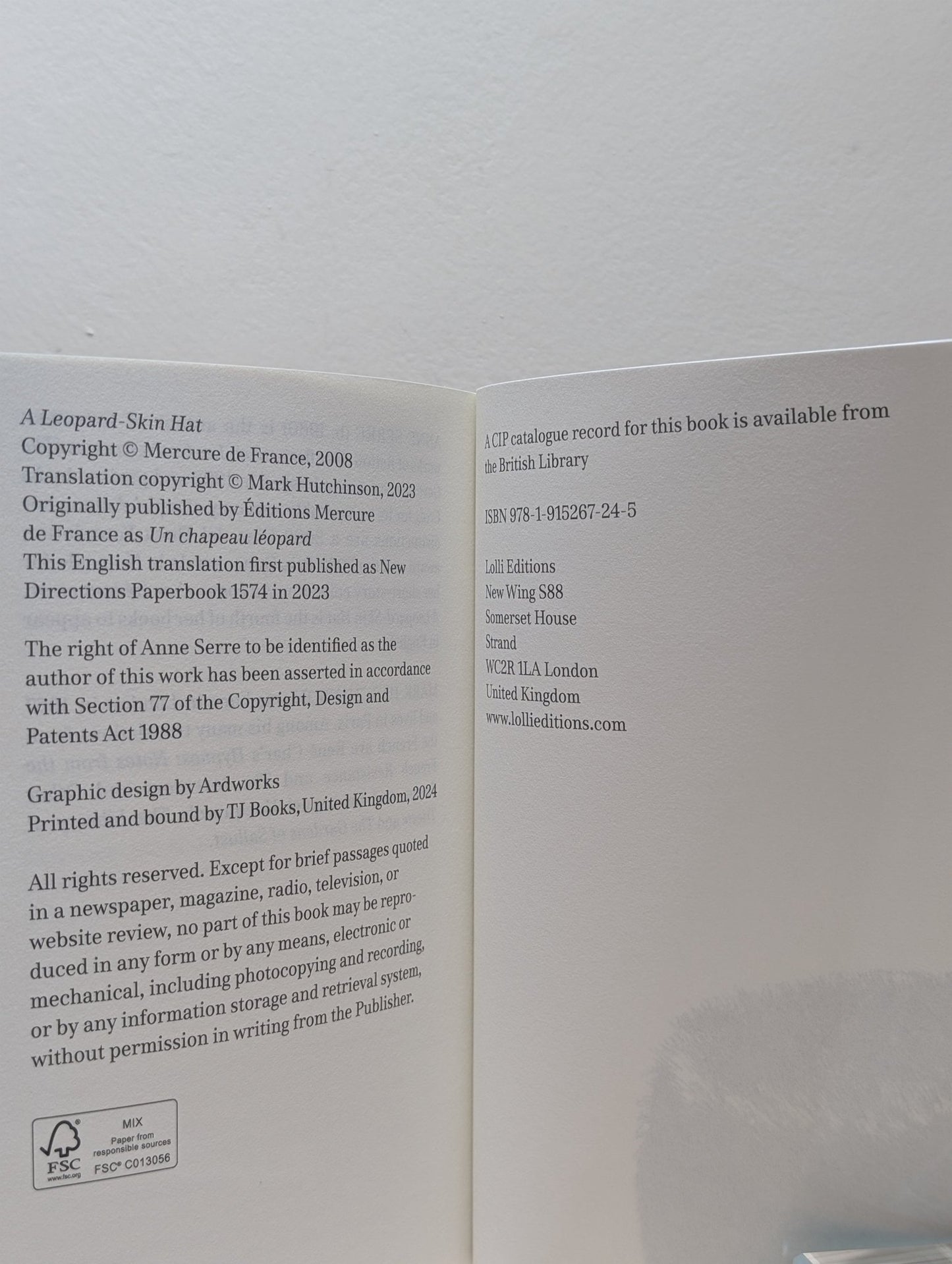 A Leopard - Skin Hat by Anne Serre (First Edition) - Fialta Books