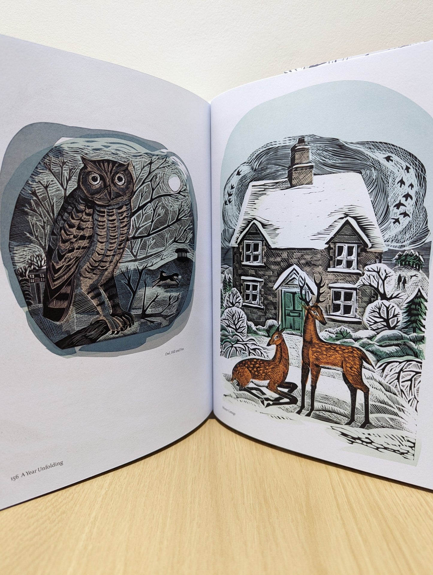 A Year Unfolding: A Printmaker's View by Angela Harding (Signed First Edition) - Fialta Books