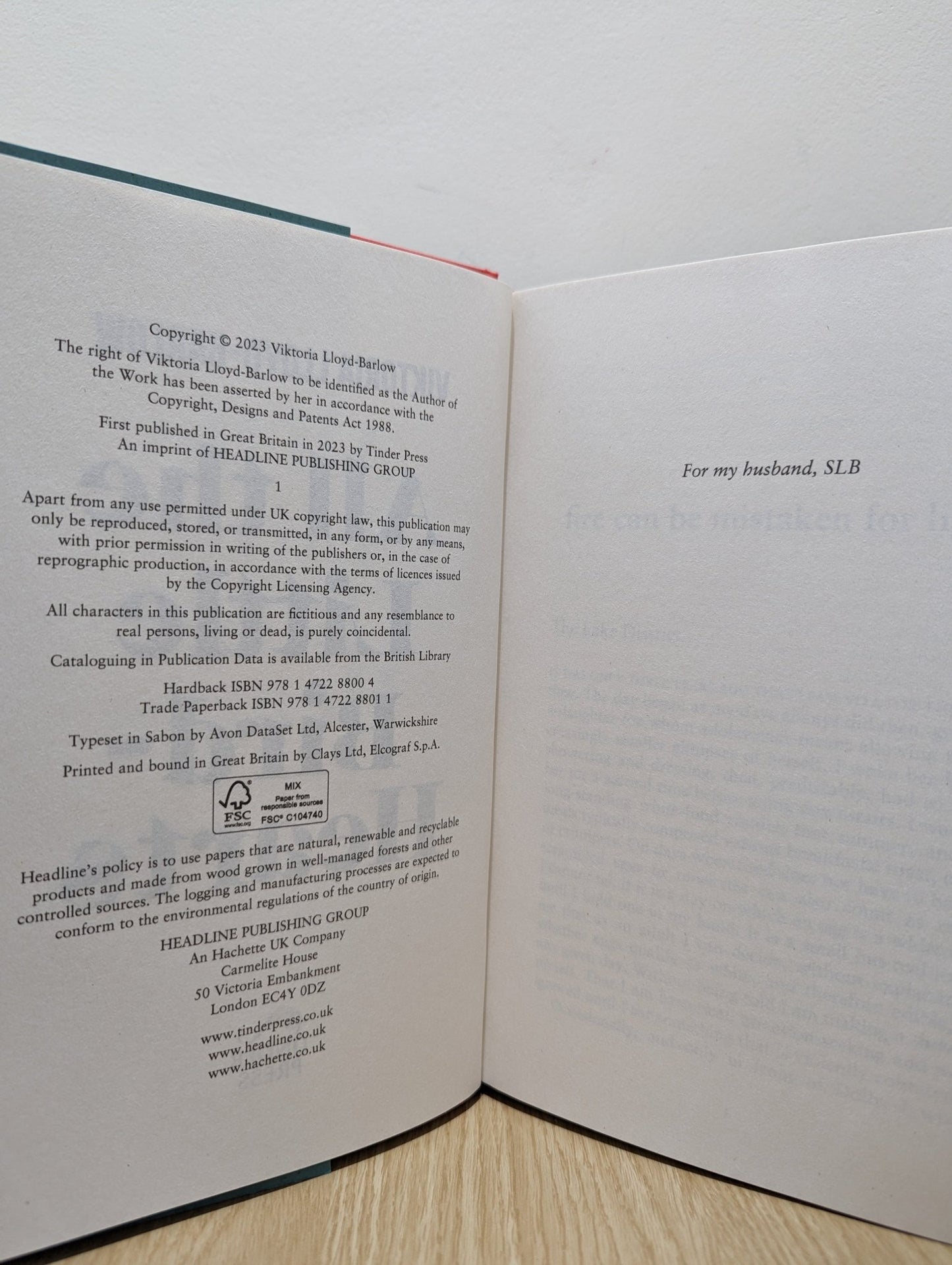 All the Little Bird - Hearts by Viktoria Lloyd - Barlow (First Edition) - Fialta Books