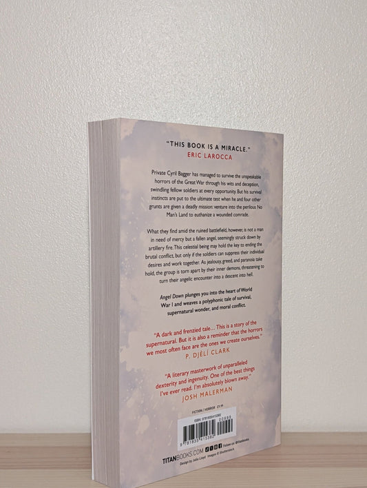 Angel Down by Daniel Kraus (First Edition) - Fialta Books