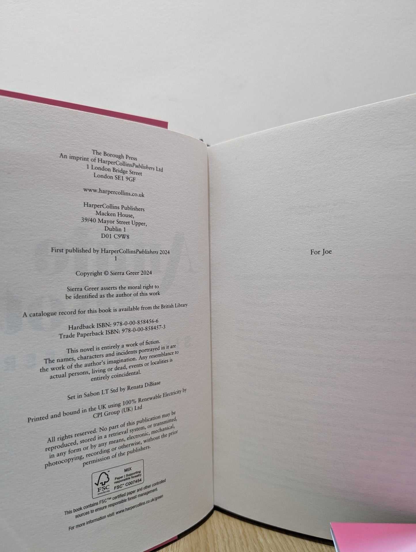 Annie Bot by Sierra Greer (First Edition) - Fialta Books