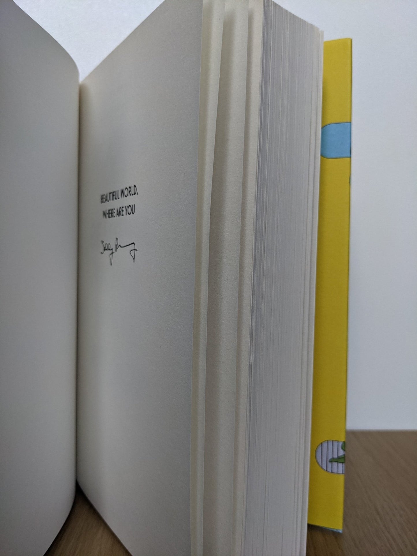 Beautiful World, Where Are You by Sally Rooney (Signed First Edition) - Fialta Books