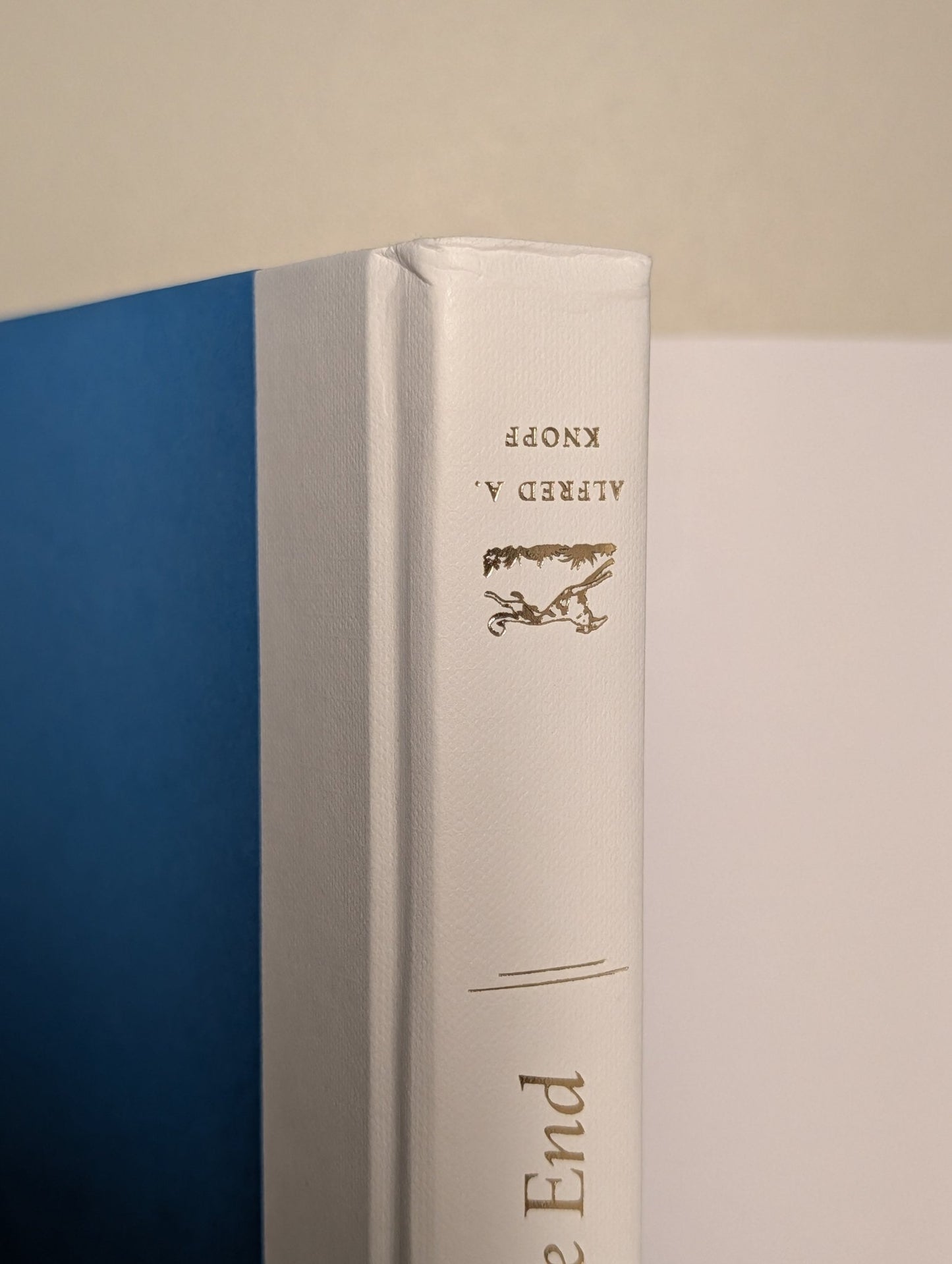 Beginning Middle End: A Novel by Valeria Luiselli (Signed First Edition) - Fialta Books