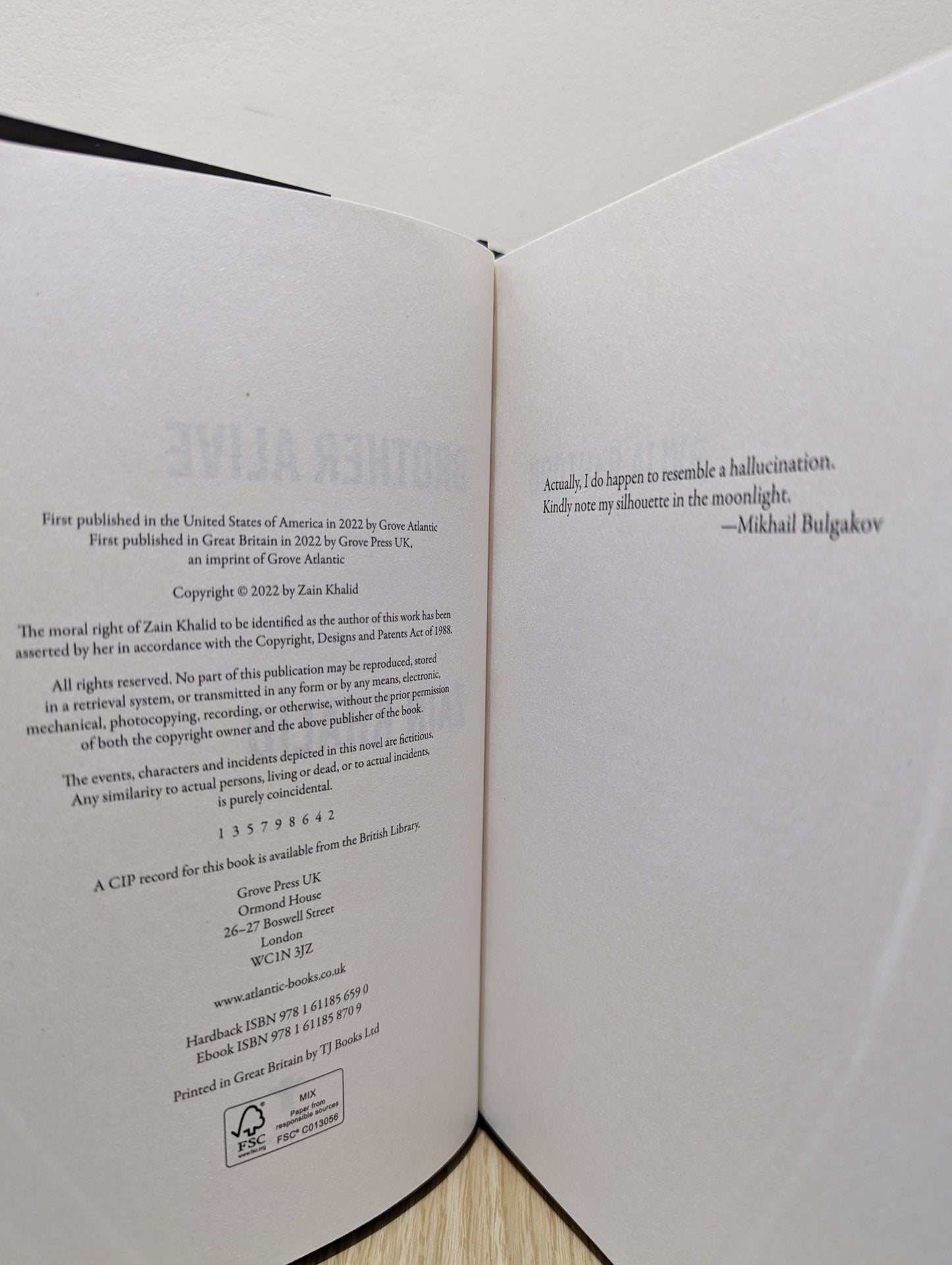 Brother Alive by Zain Khalid (First Edition) - Fialta Books