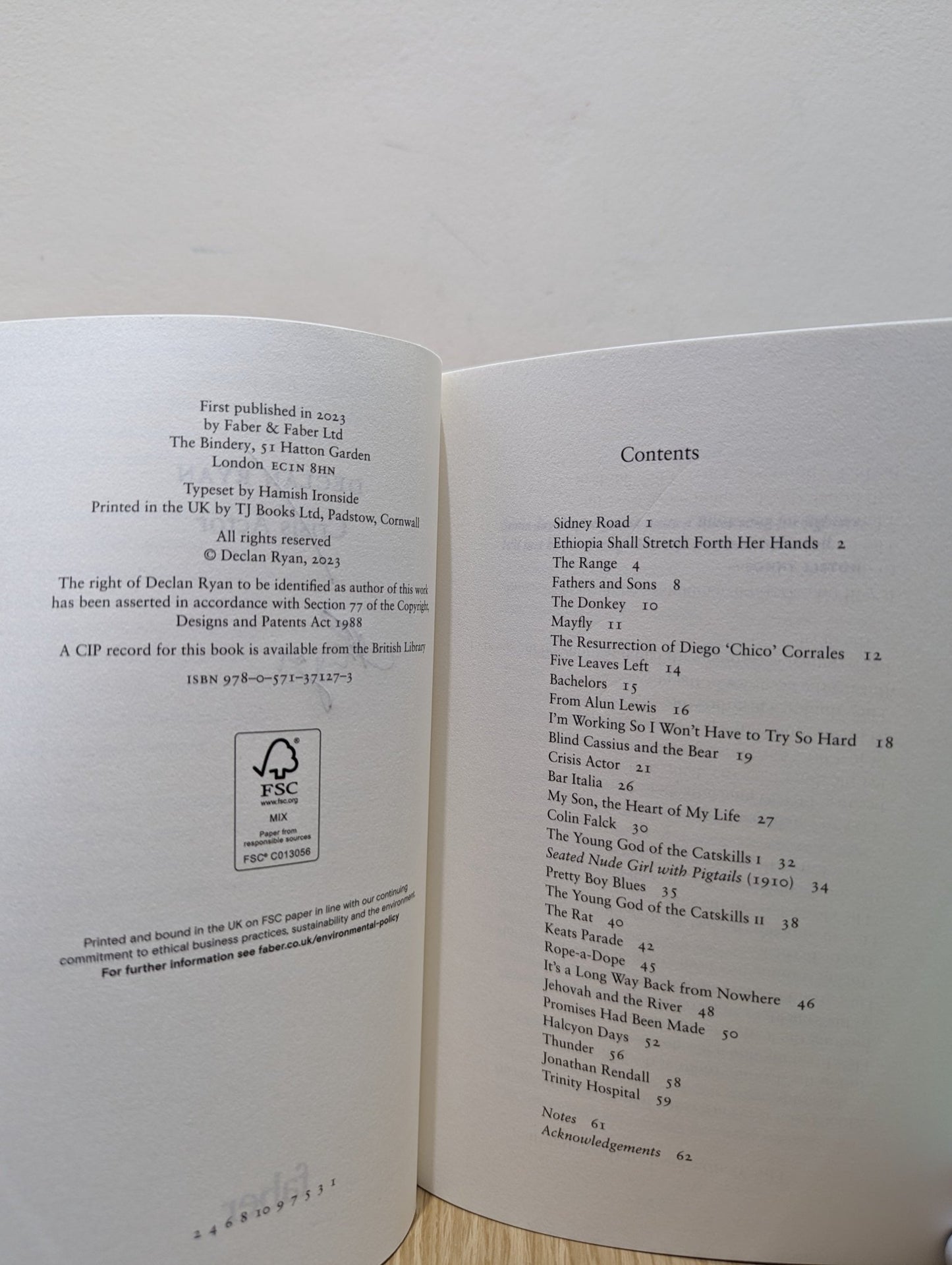 Crisis Actor by Declan Ryan (Signed First Edition) - Fialta Books