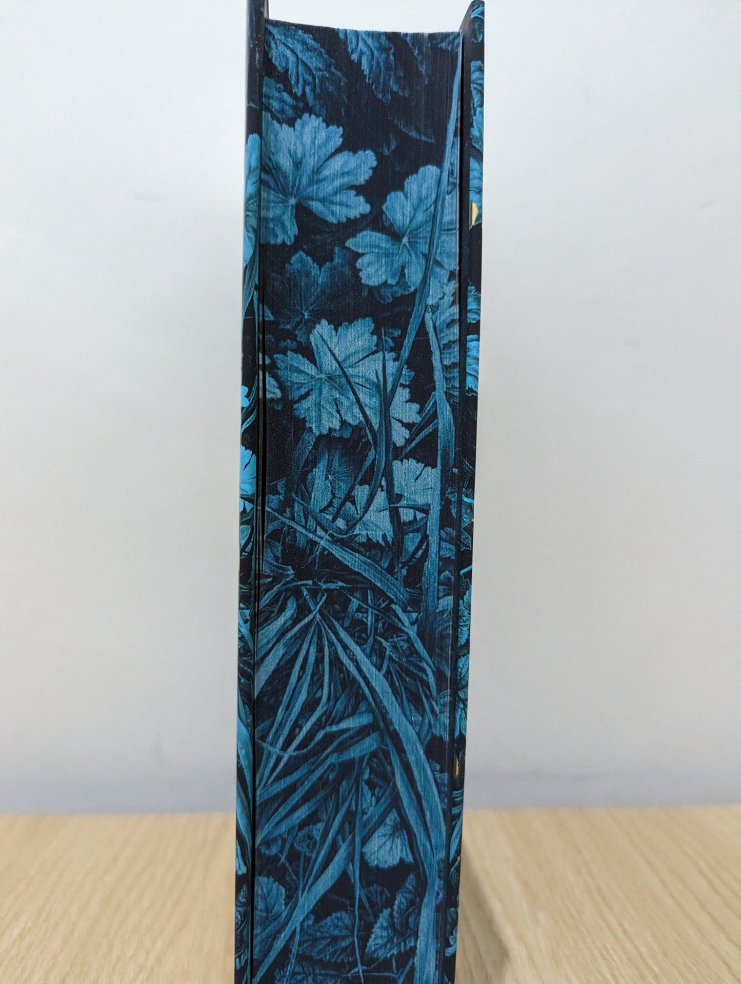 Demon Copperhead by Barbara Kingsolver (First Edition with sprayed edges and author letter) - Fialta Books