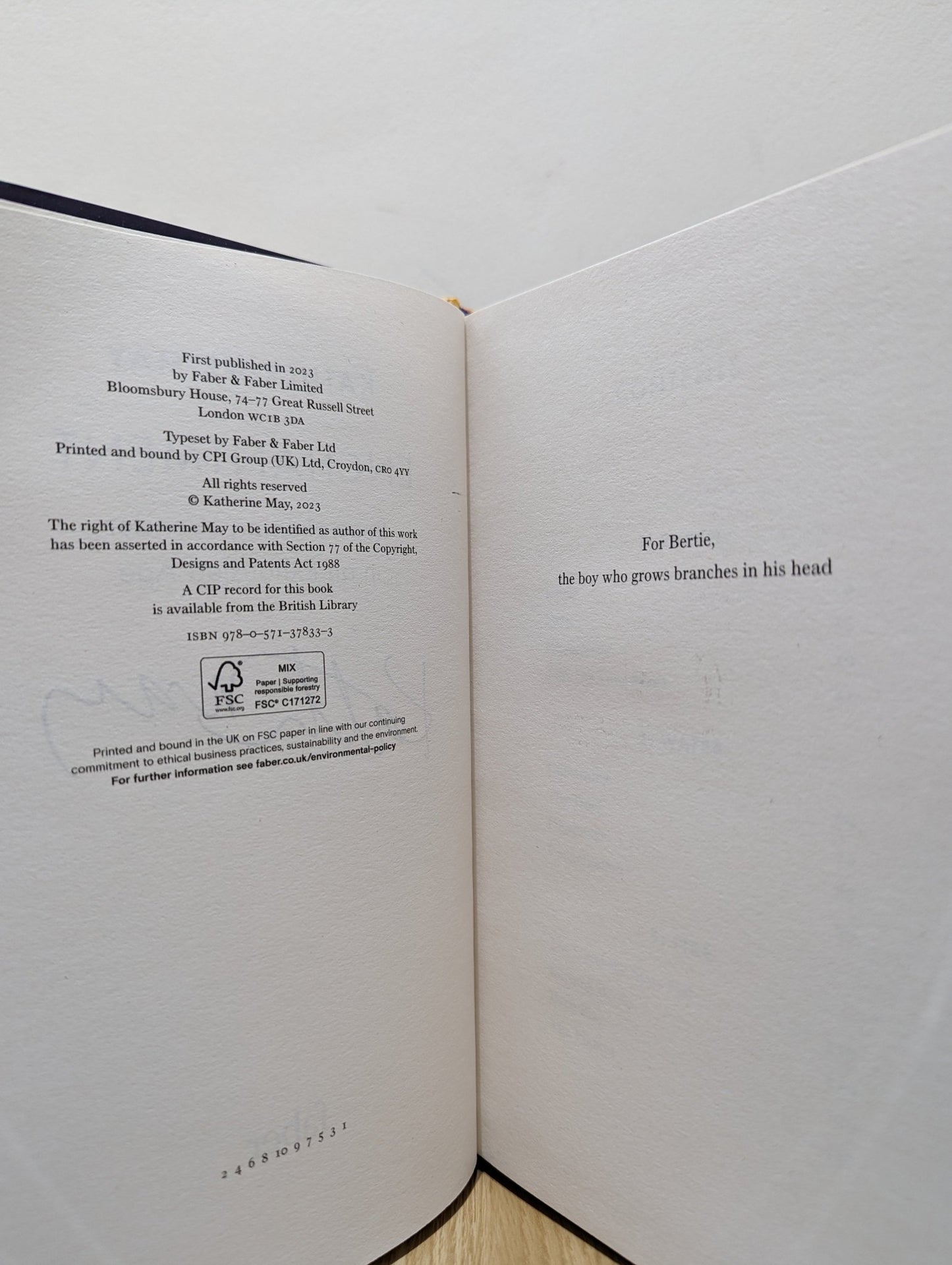 Enchantment: Reawakening Wonder in an Exhausted Age by Katherine May (Signed First Edition) - Fialta Books