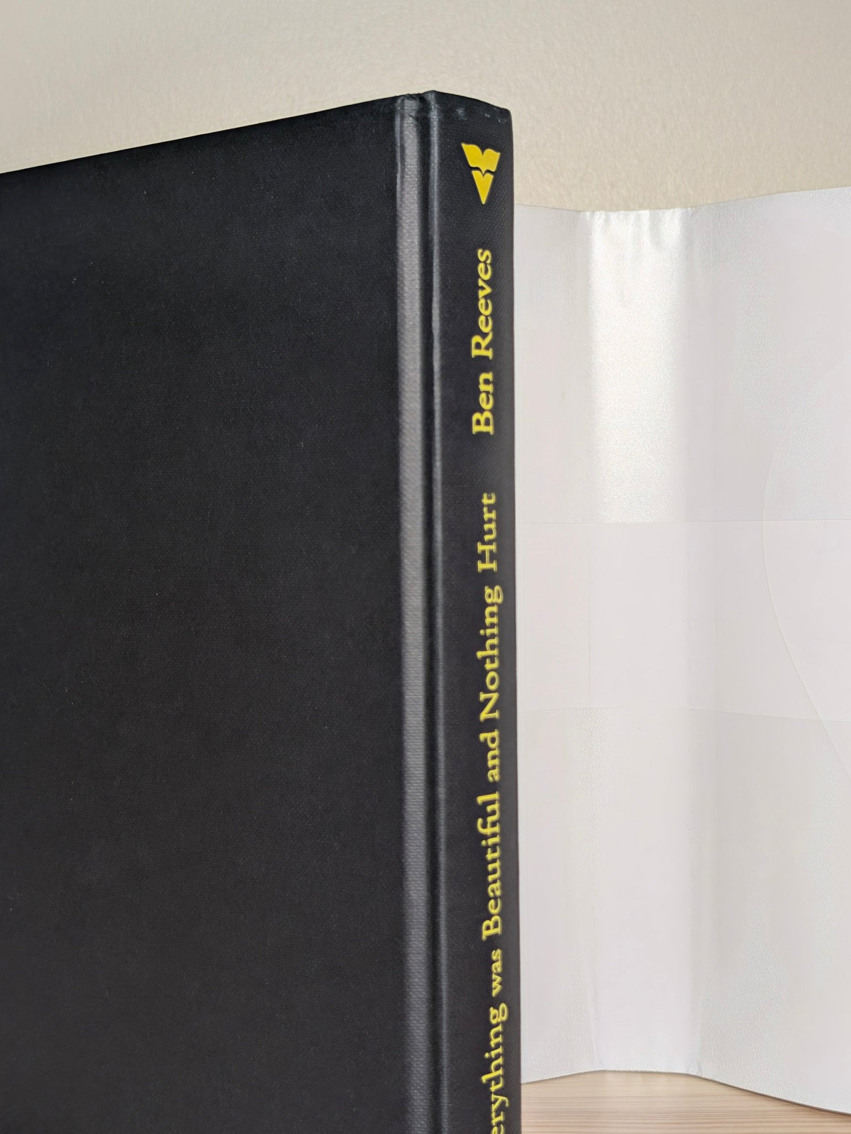 Everything was Beautiful and Nothing Hurt by Ben Reeves (Signed First Edition) - Fialta Books