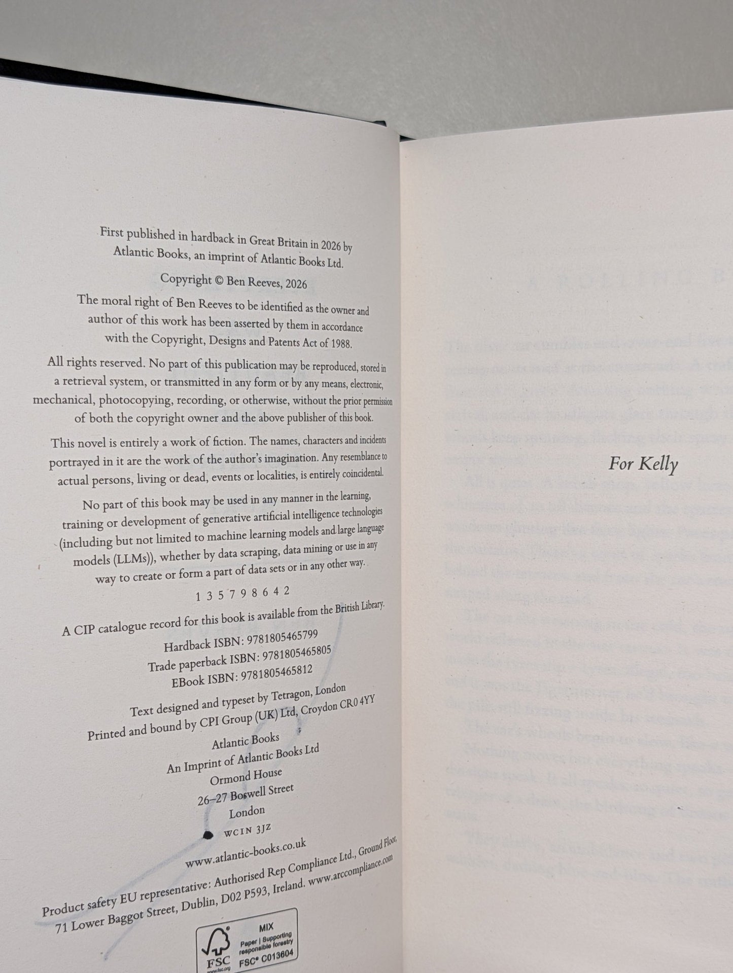 Everything was Beautiful and Nothing Hurt by Ben Reeves (Signed First Edition) - Fialta Books