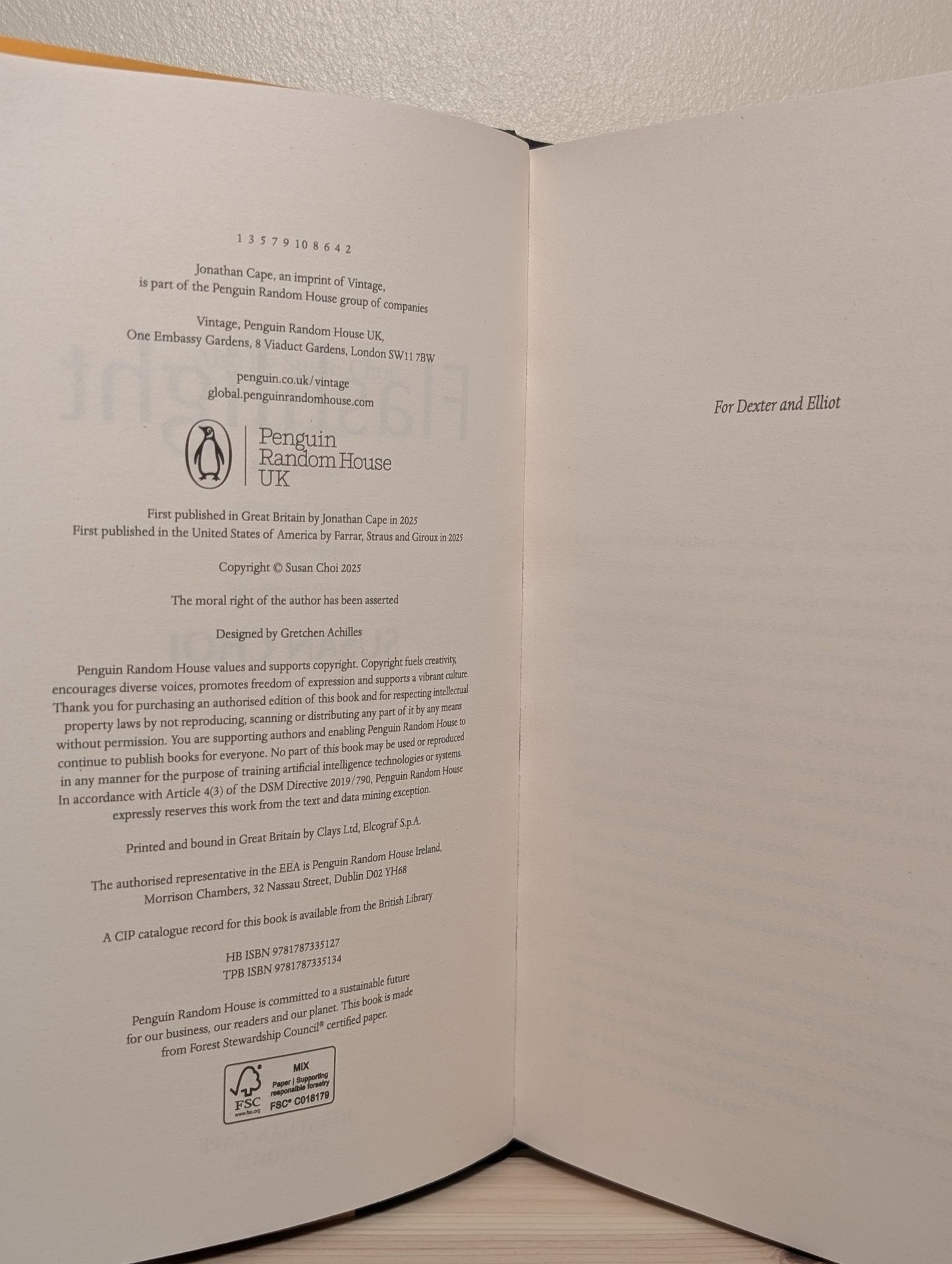 Flashlight by Susan Choi (First Edition) - Fialta Books