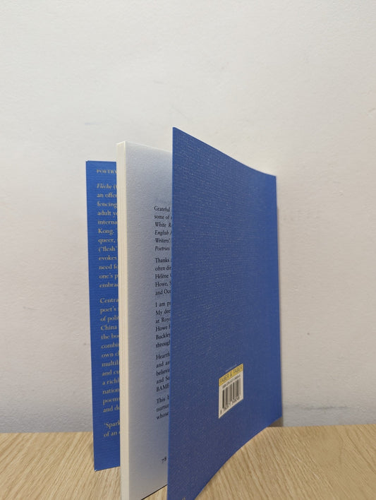 Flèche by Mary Jean Chan (Signed First Edition) - Fialta Books