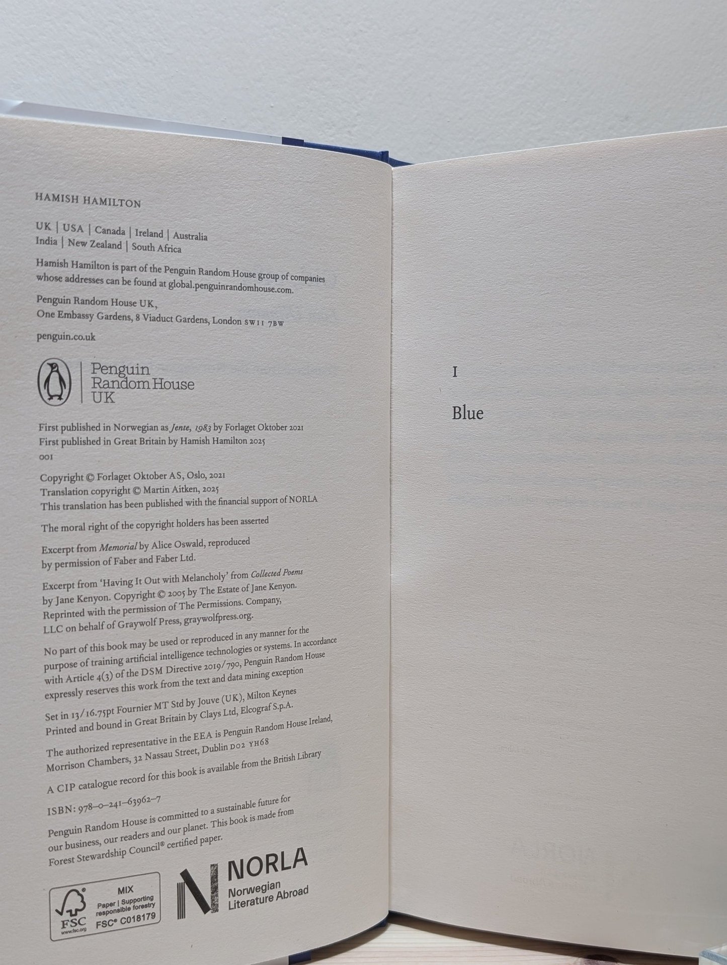 Girl, 1983 by Linn Ullmann (First Edition) - Fialta Books