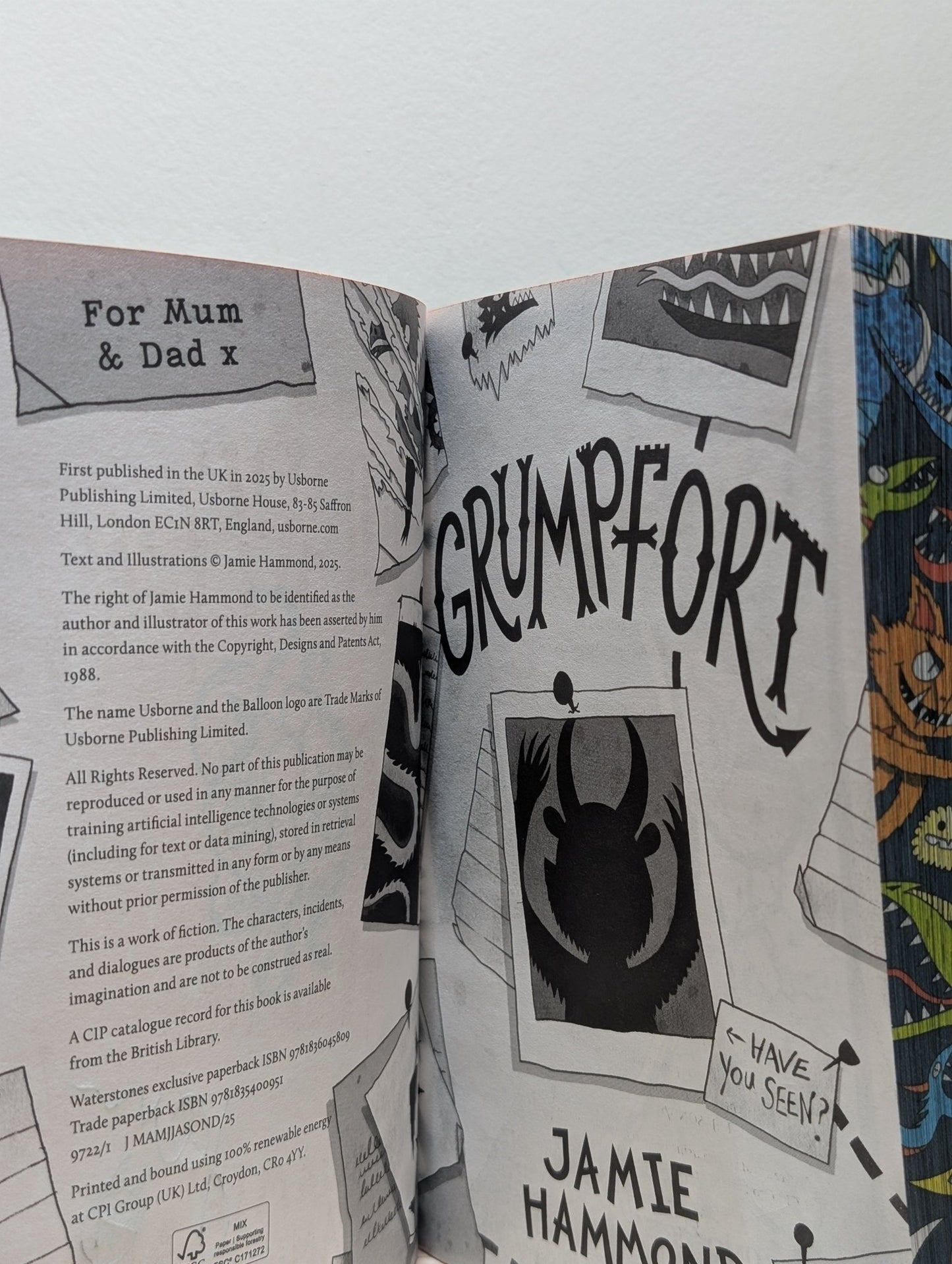 Grumpfort by Jamie Hammond (Signed First Edition with sprayed edges) - Fialta Books