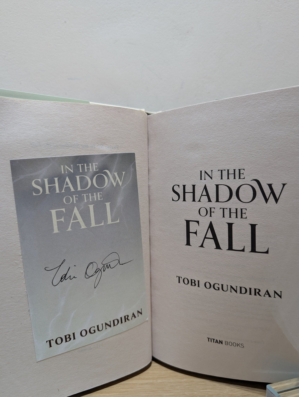 Guardians of the Gods - In the Shadow of the Fall 1 by Tobi Ogundiran (Signed First Edition) - Fialta Books