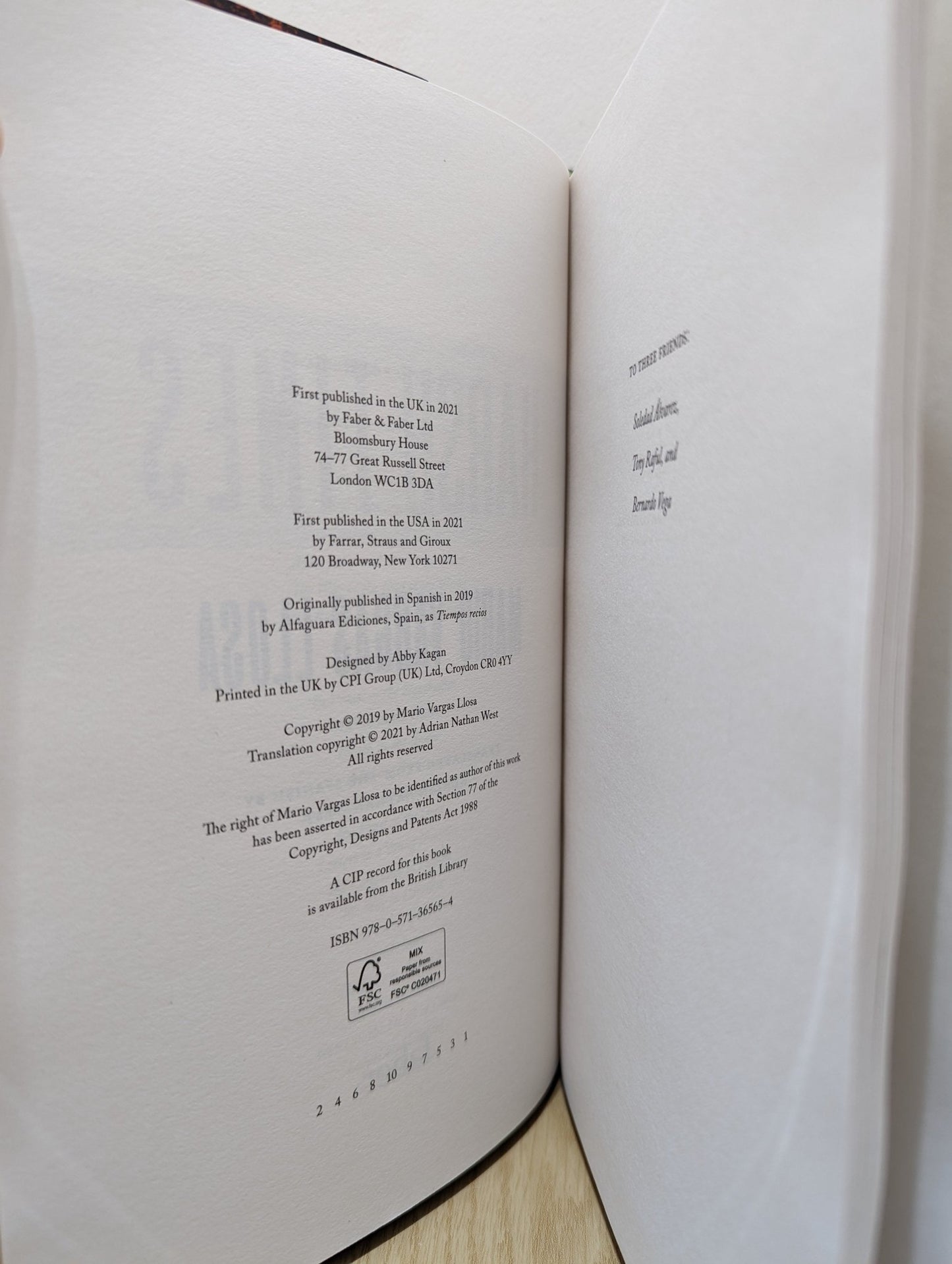 Harsh Times by Mario Vargas Llosa (First Edition) - Fialta Books