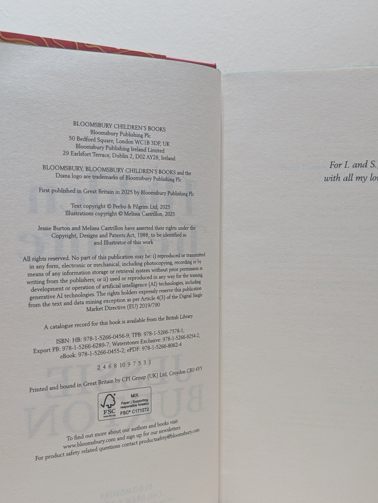 Hidden Treasure by Jessie Burton (Signed First Edition with sprayed edges) - Fialta Books