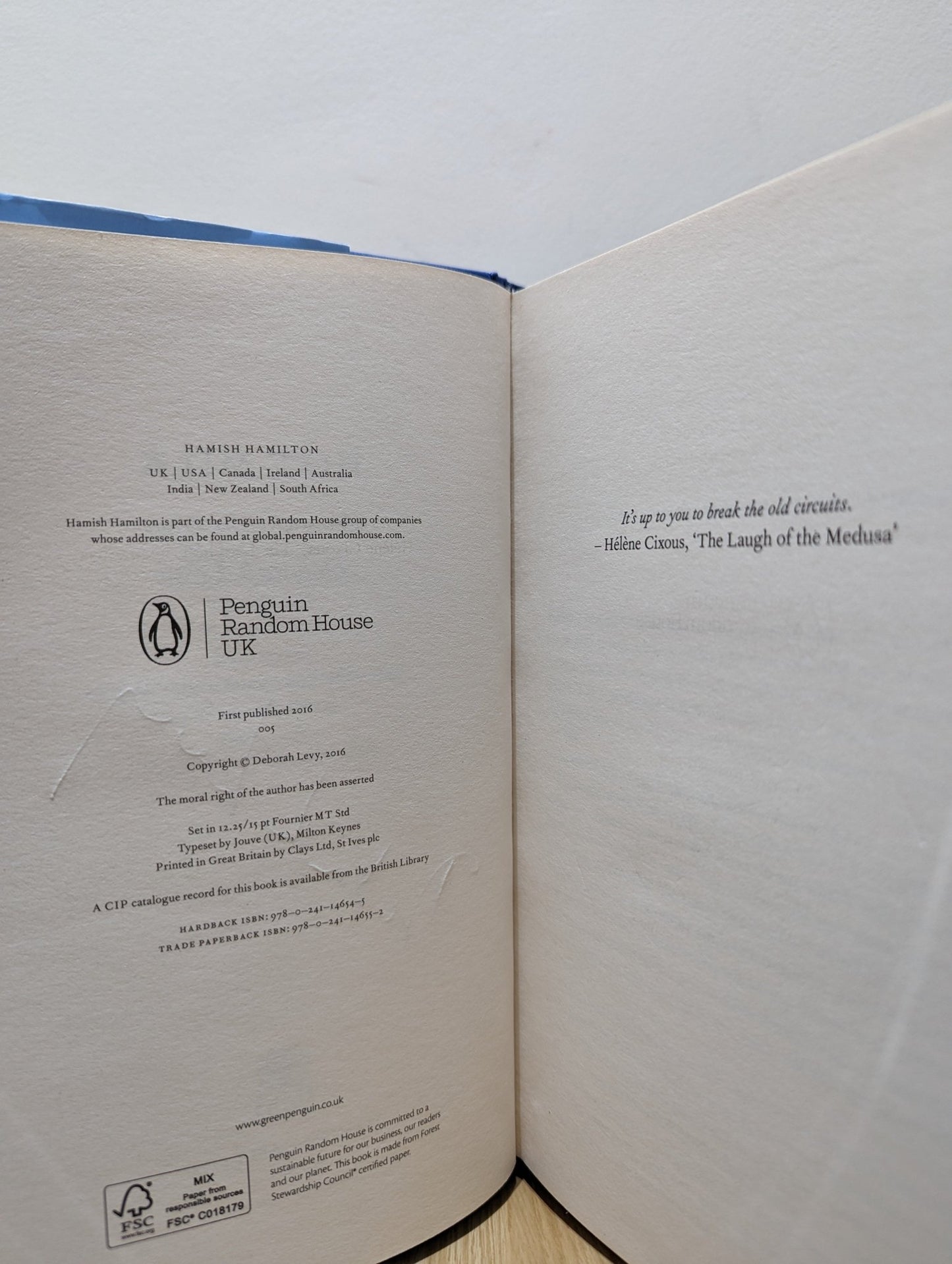 Hot Milk by Deborah Levy (Signed) - Fialta Books