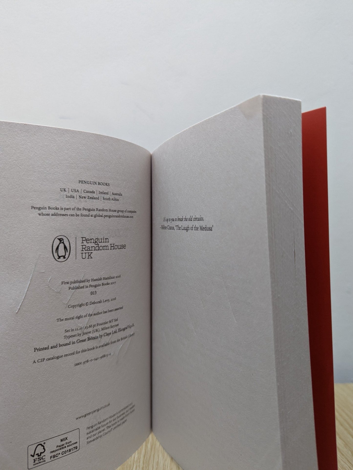 Hot Milk by Deborah Levy (Signed Paperback Edition) - Fialta Books