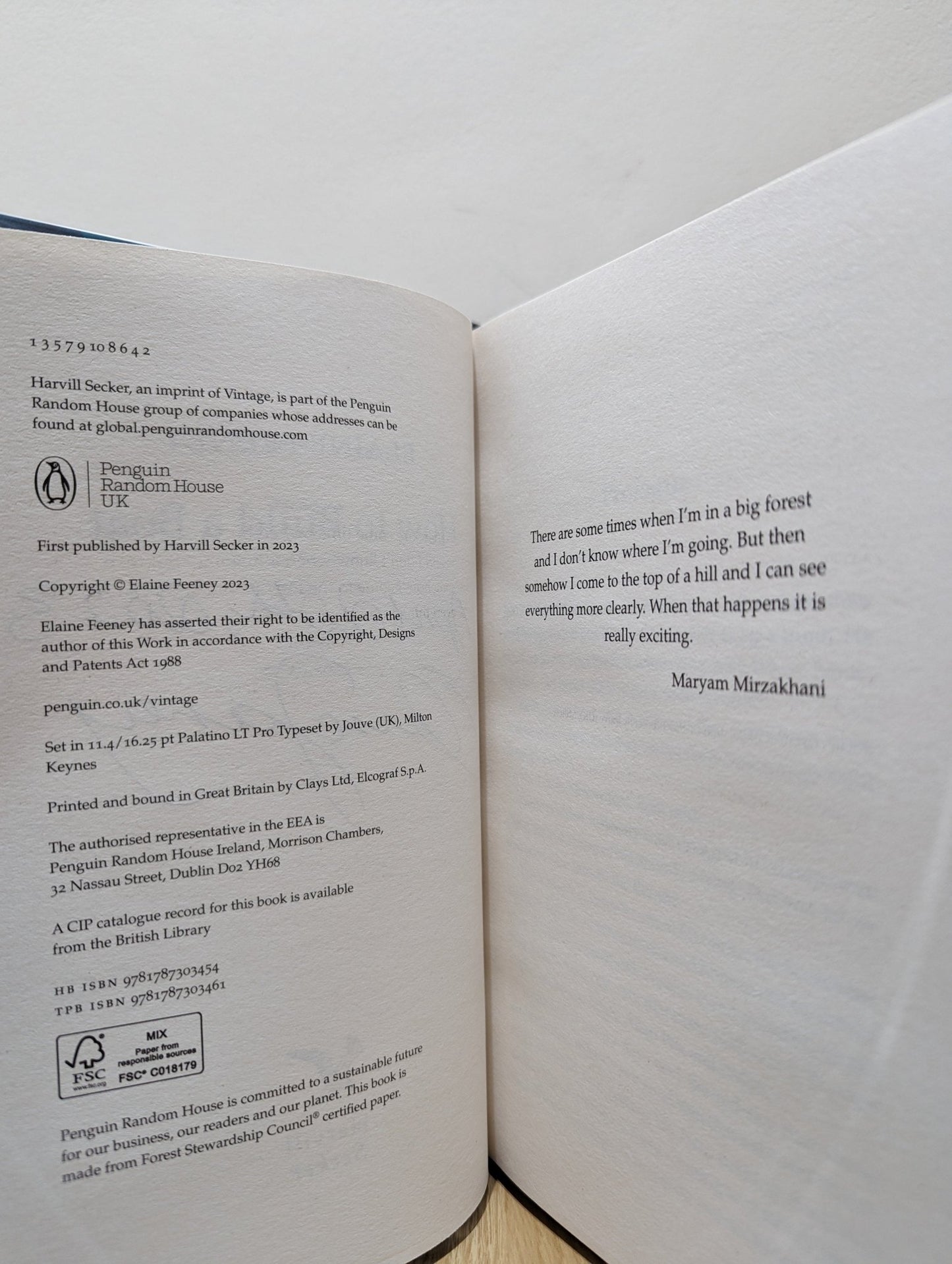 How to Build a Boat by Elaine Feeney (Signed Dated First Edition) - Fialta Books