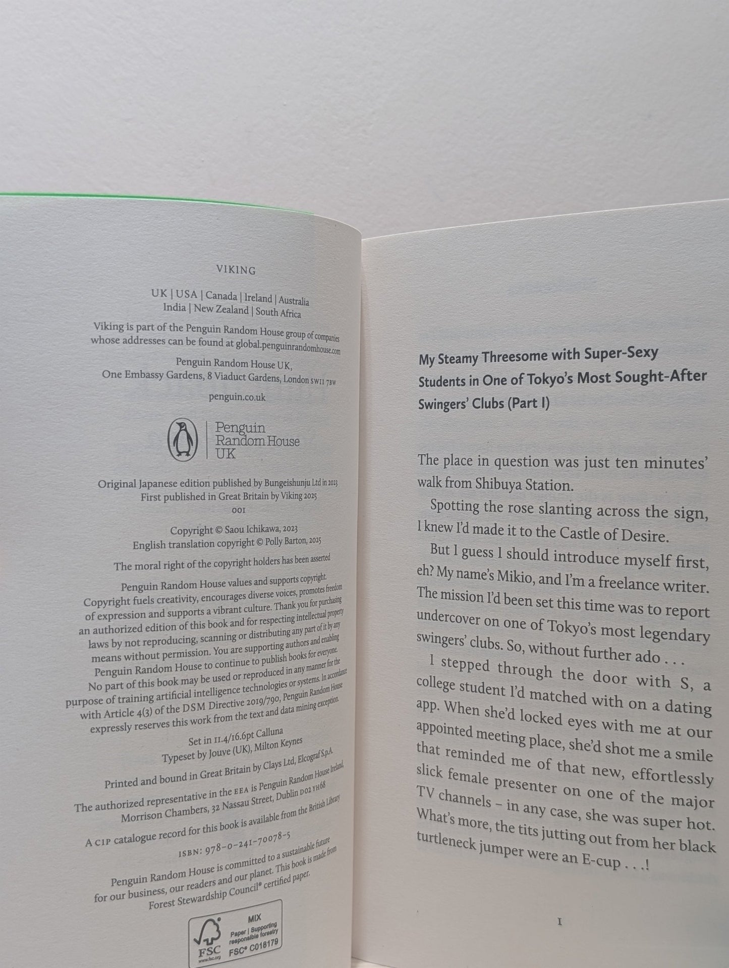 Hunchback by Saou Ichikawa (First Edition) - Fialta Books