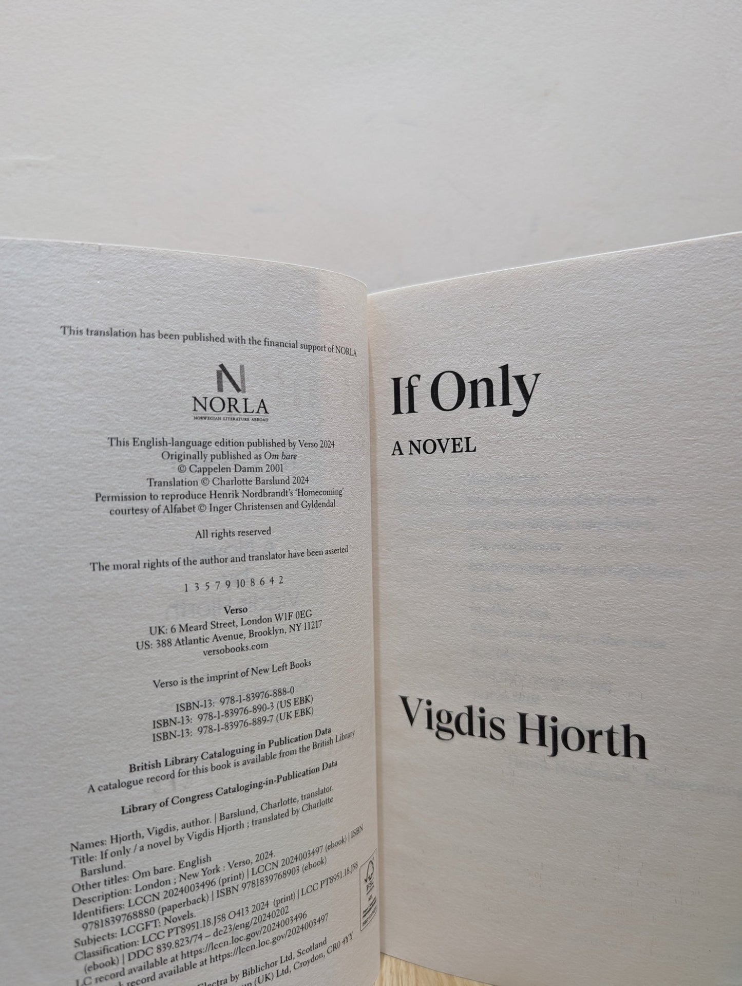 If Only by Vigdis Hjorth (Signed First Edition) - Fialta Books