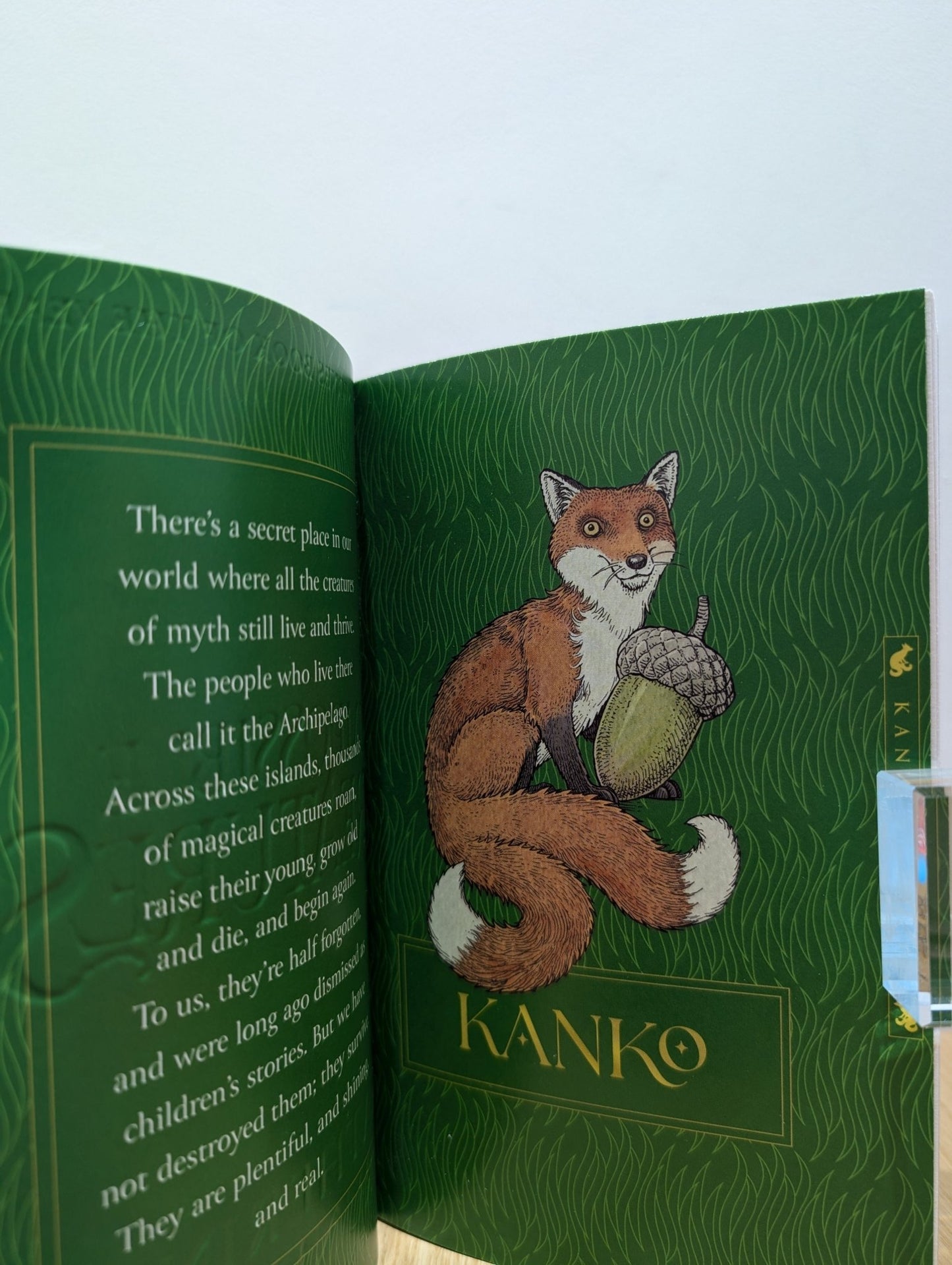 Impossible Creatures by Katherine Rundell (Signed paperback four Creature Edition Set) - Fialta Books