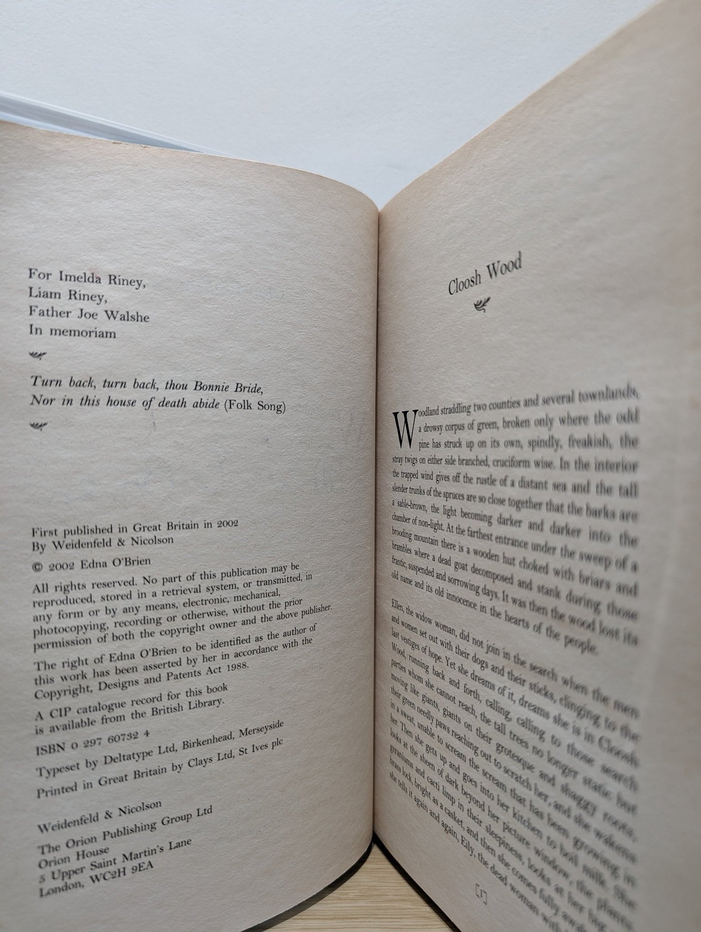 In the Forest by Edna O'Brien (Signed Dated First Edition) - Fialta Books