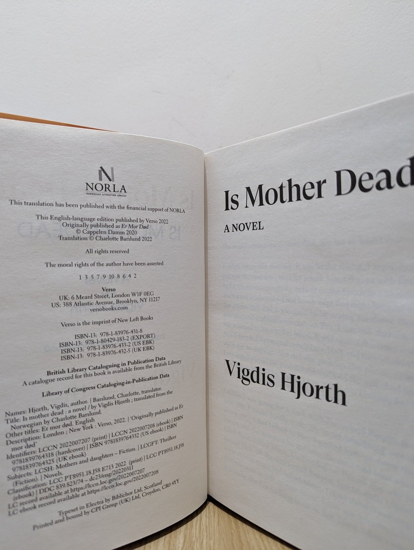 Is Mother Dead by Vigdis Hjorth (First Edition) - Fialta Books
