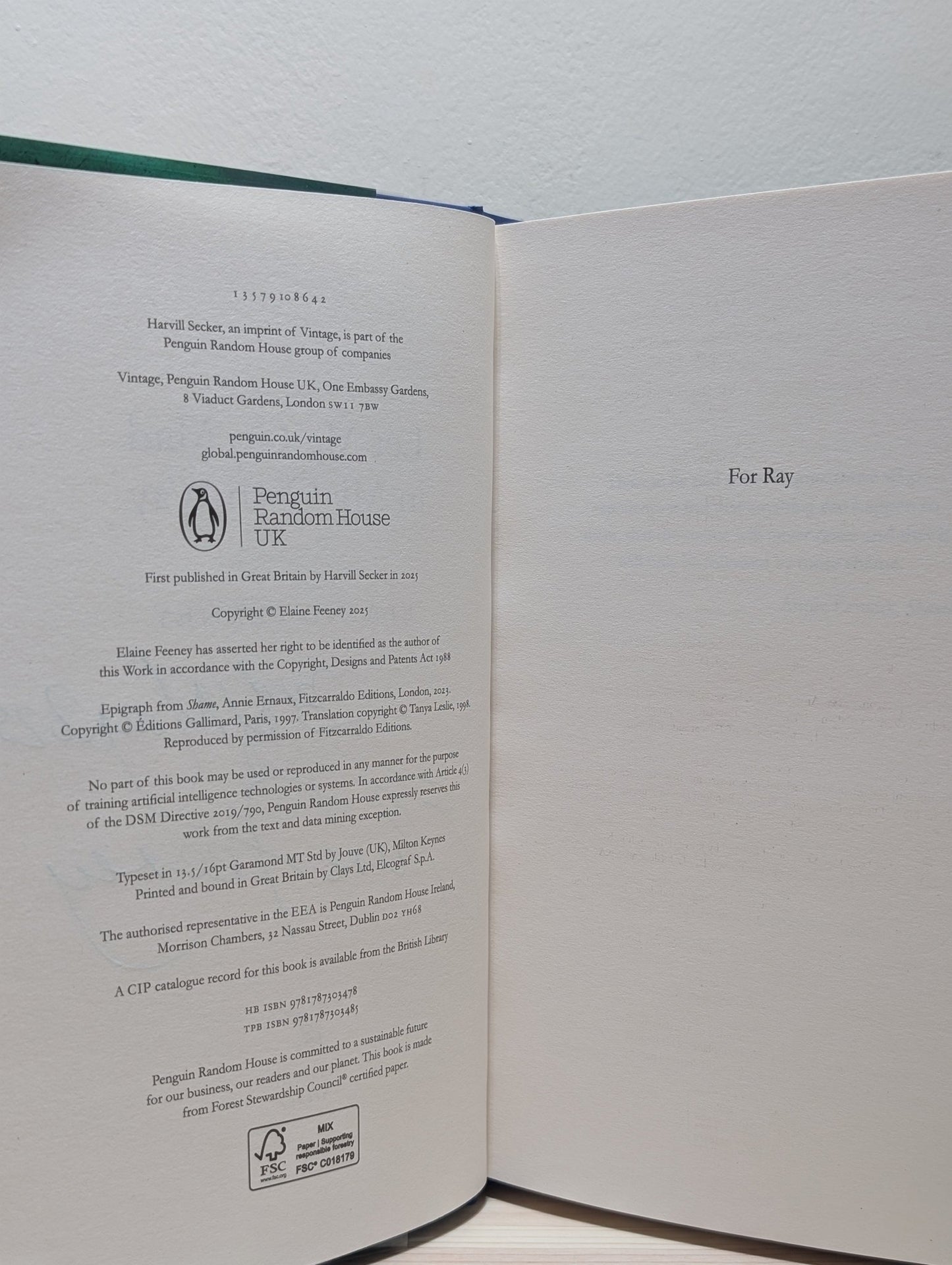 Let Me Go Mad in My Own Way by Elaine Feeney (Signed Dated First Edition) - Fialta Books