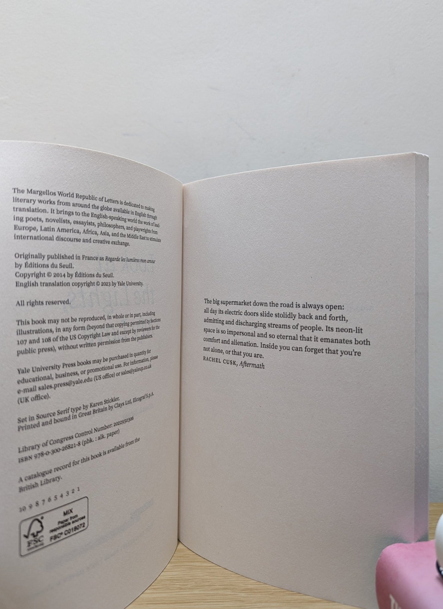 Look at the Lights, My Love by Annie Ernaux (First Edition) - Fialta Books