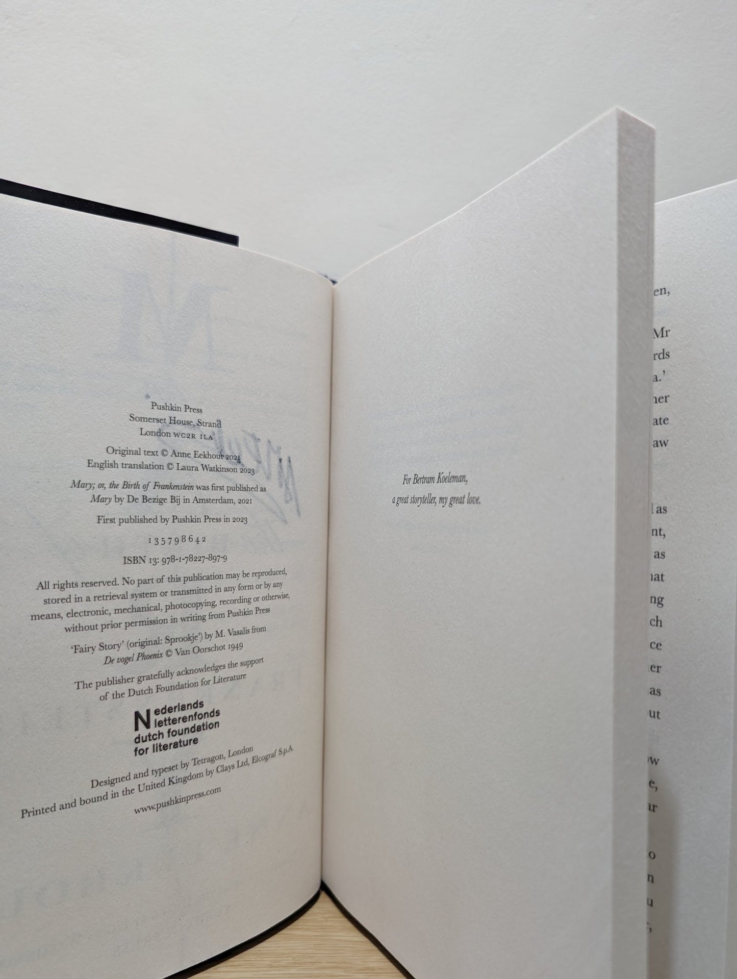 Mary: or, The Birth of Frankenstein by Anne Eekhout (Signed First Edition) - Fialta Books