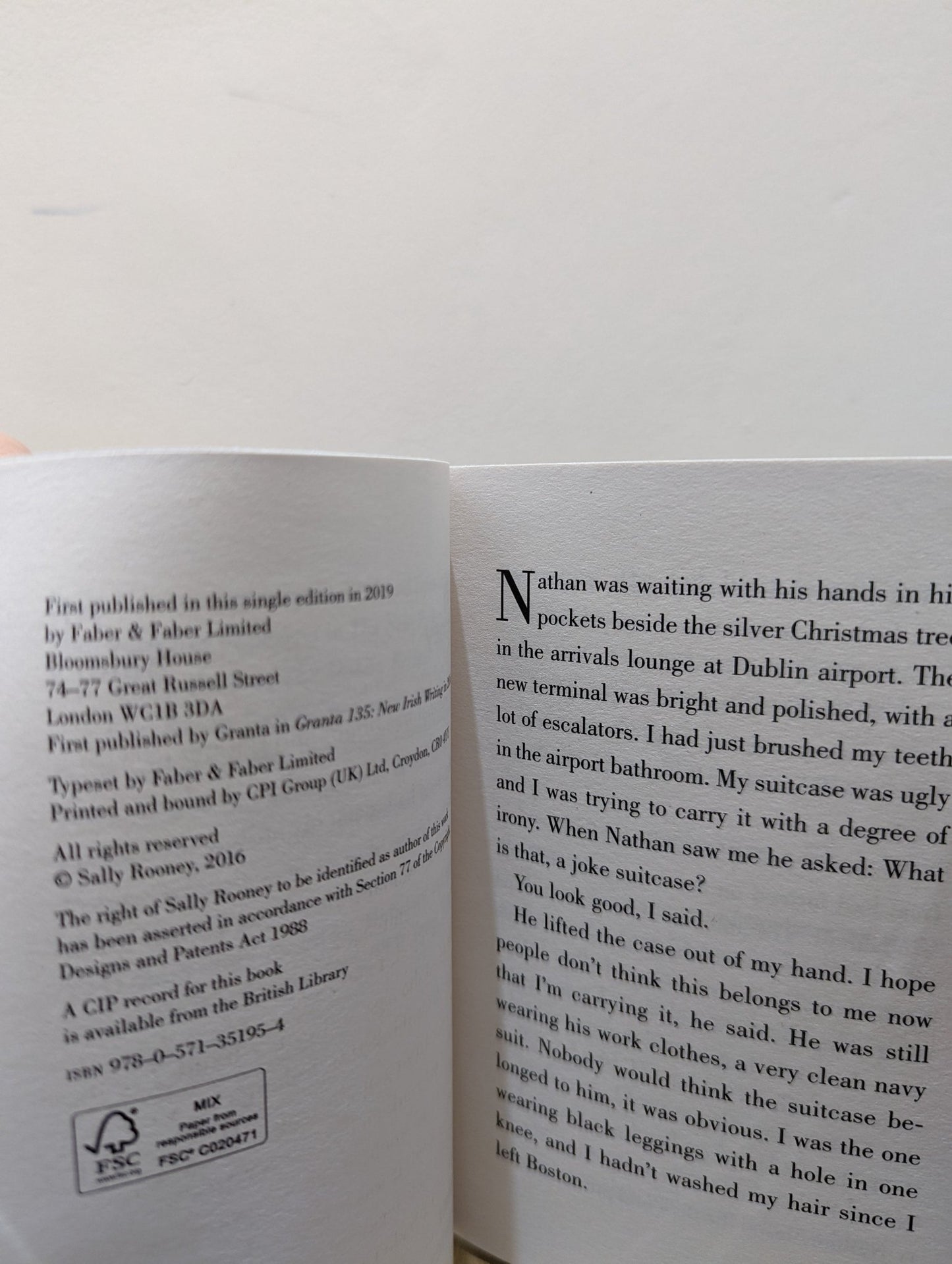 Mr Salary by Sally Rooney - Fialta Books