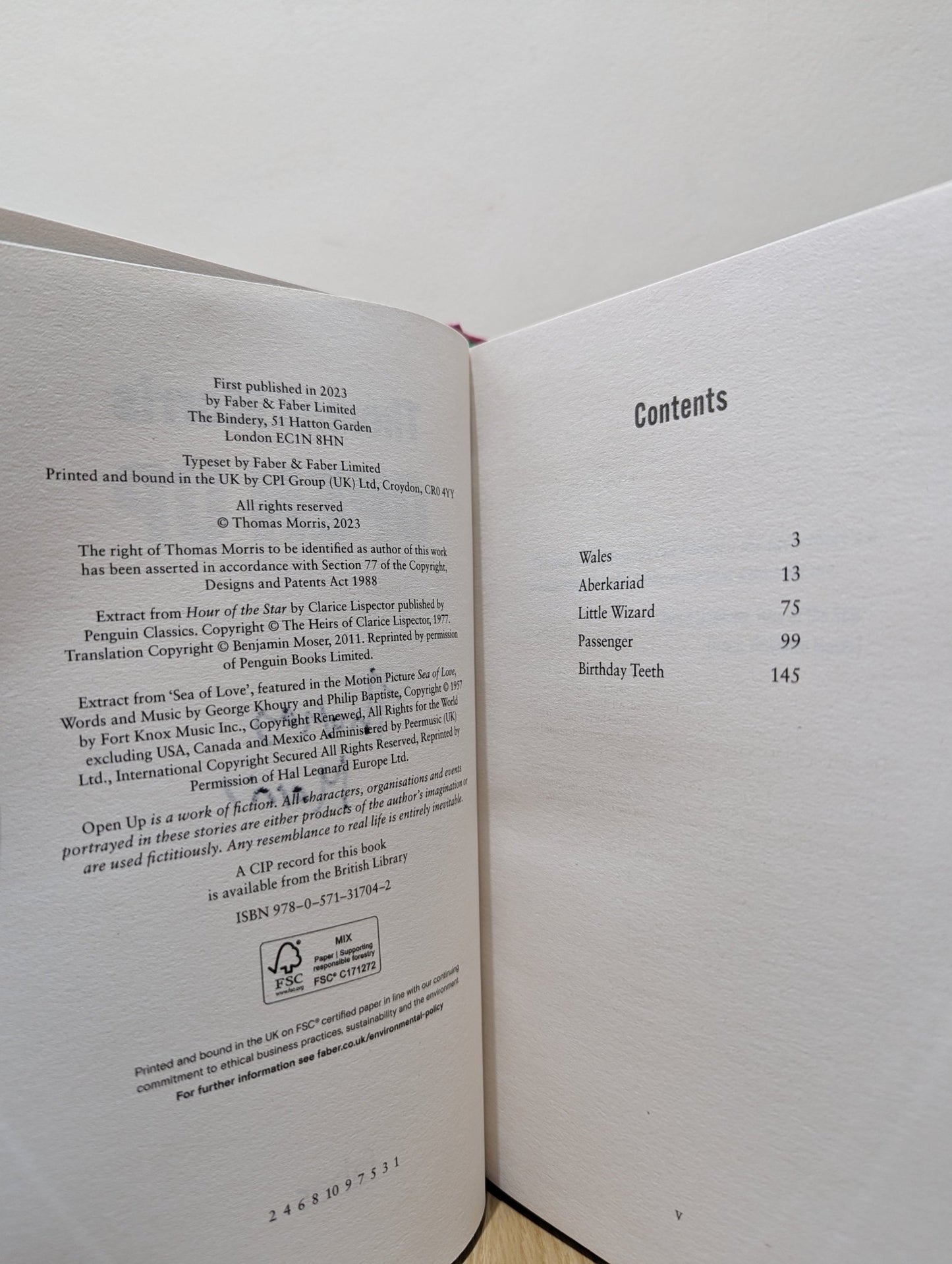 Open Up by Thomas Morris (Signed First Edition) - Fialta Books