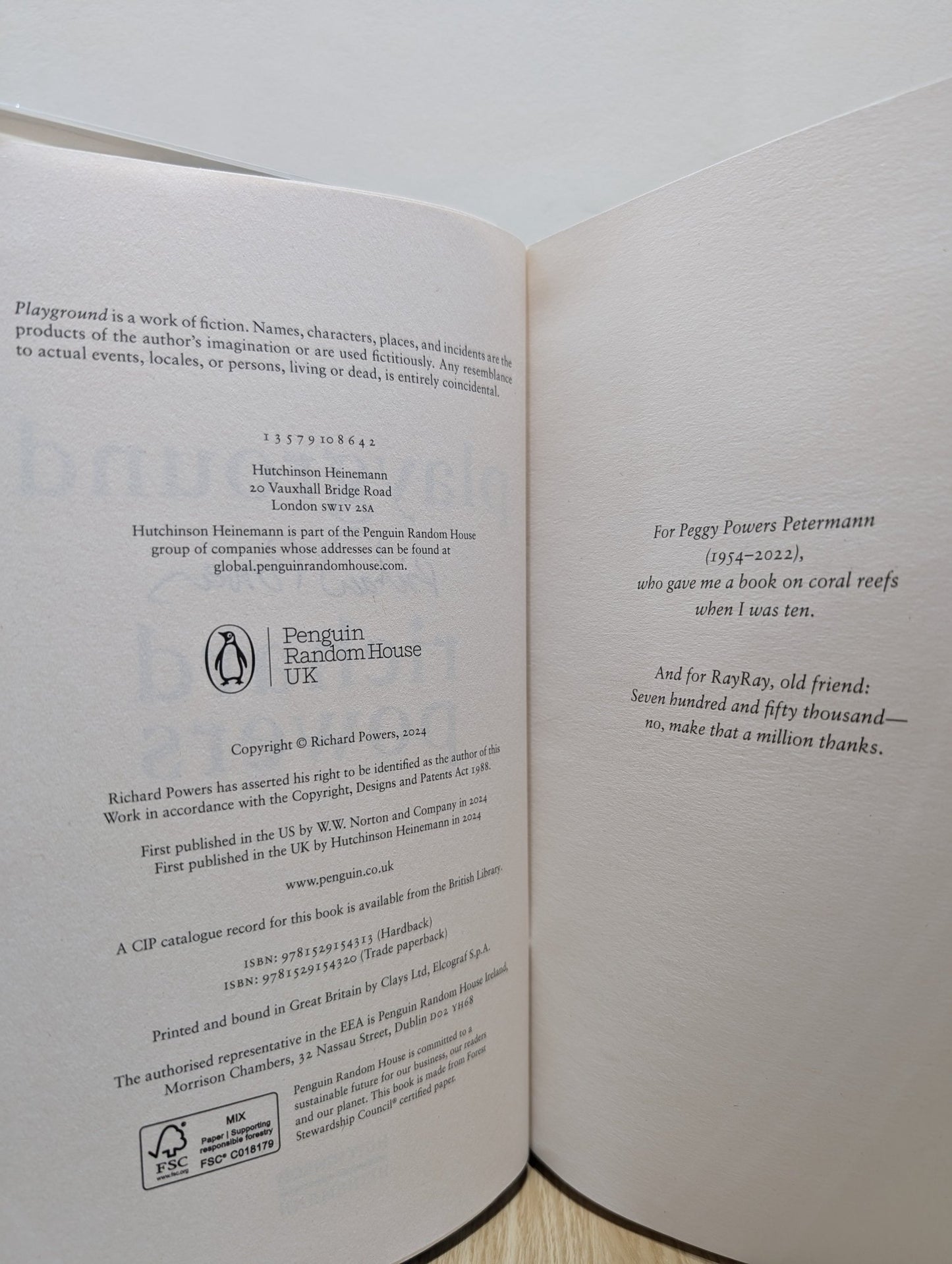 Playground by Richard Powers (Signed First Edition) - Fialta Books