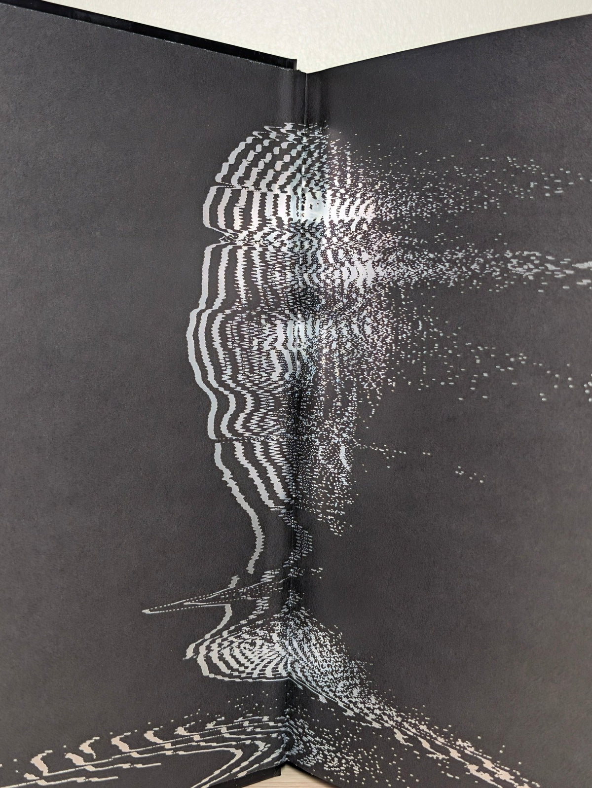 Public Access Afterworld by Jane Schoenbrun (First Edition with sprayed edges) - Fialta Books