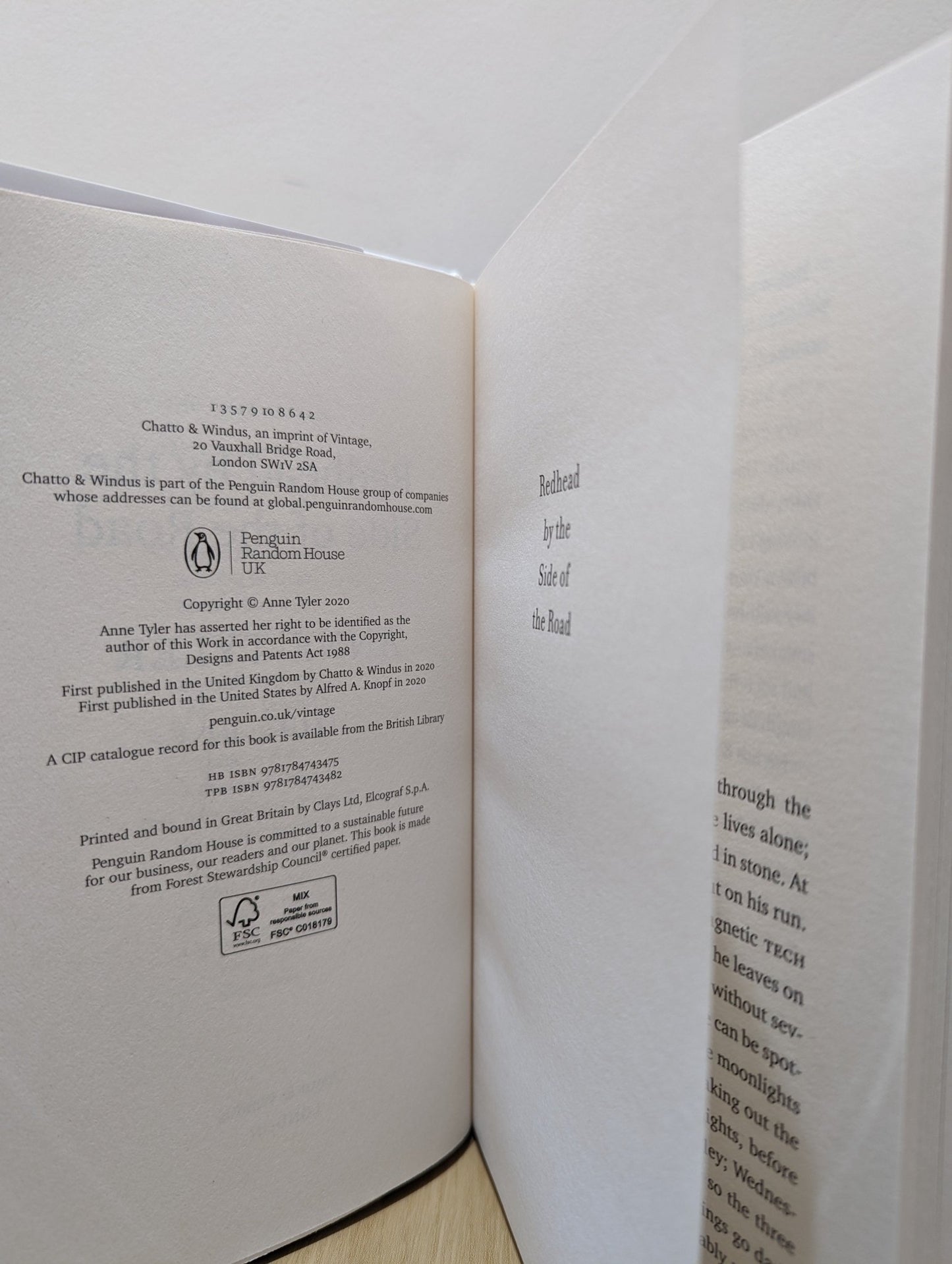 Redhead by the Side of the Road by Anne Tyler (Signed First Edition) - Fialta Books