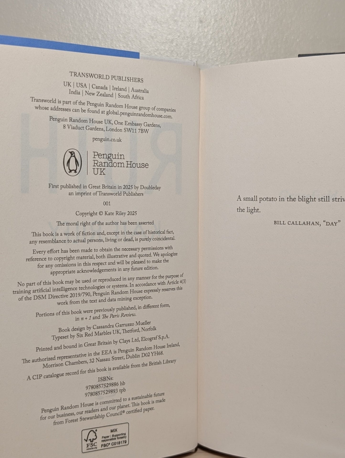 Ruth by Kate Riley (First Edition) - Fialta Books