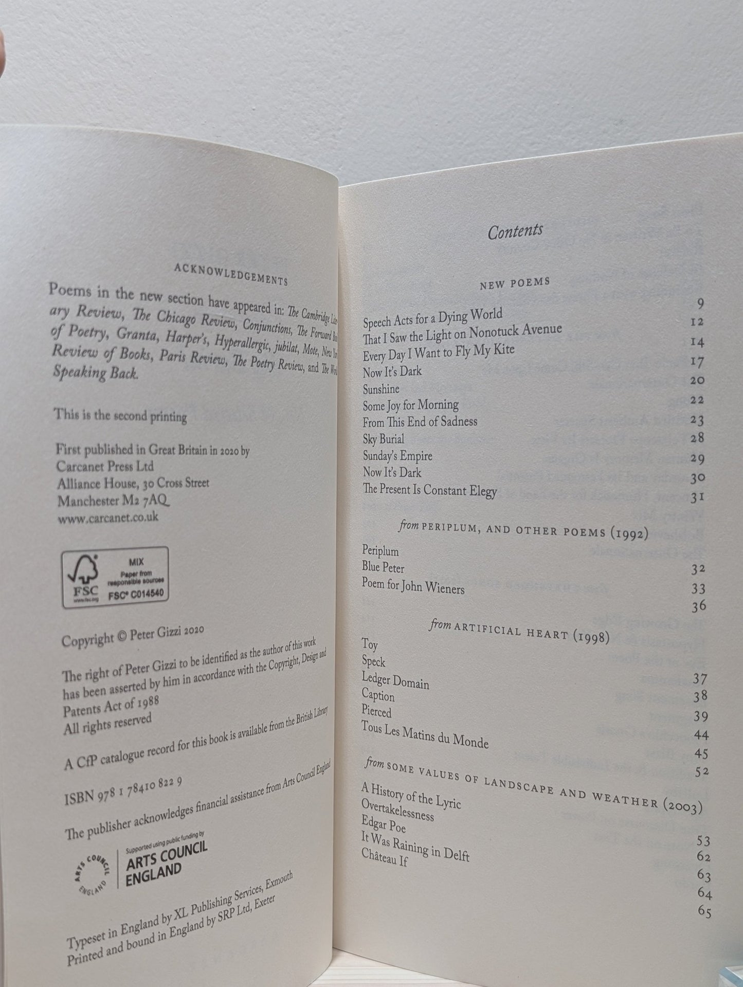 Sky Burial: New and Selected Poems by Peter Gizzi (Signed) - Fialta Books