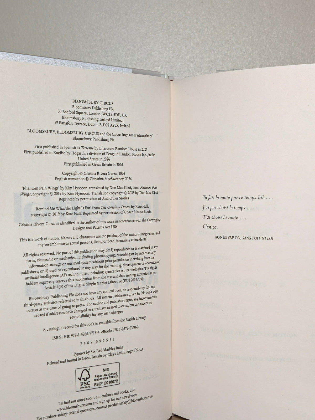 Terrestrial by Cristina Rivera Garza (First Edition) - Fialta Books