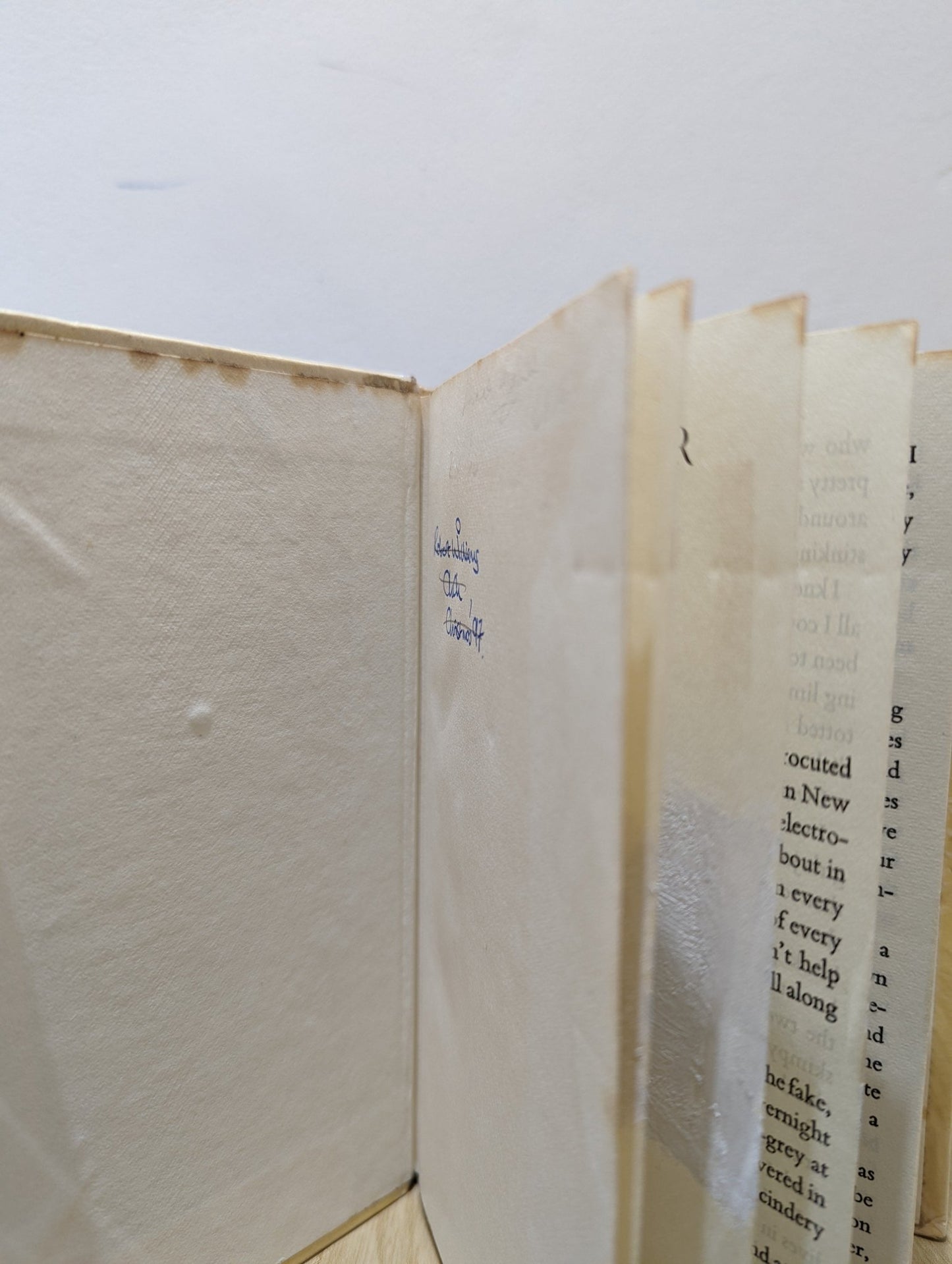 The Appeal by Janice Hallett (Signed Gift Edition) - Fialta Books