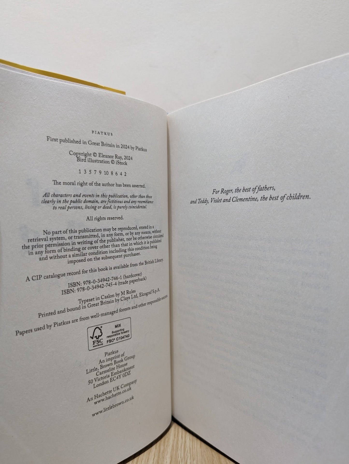The Art of Belonging by Eleanor Ray (Signed First Edition) - Fialta Books