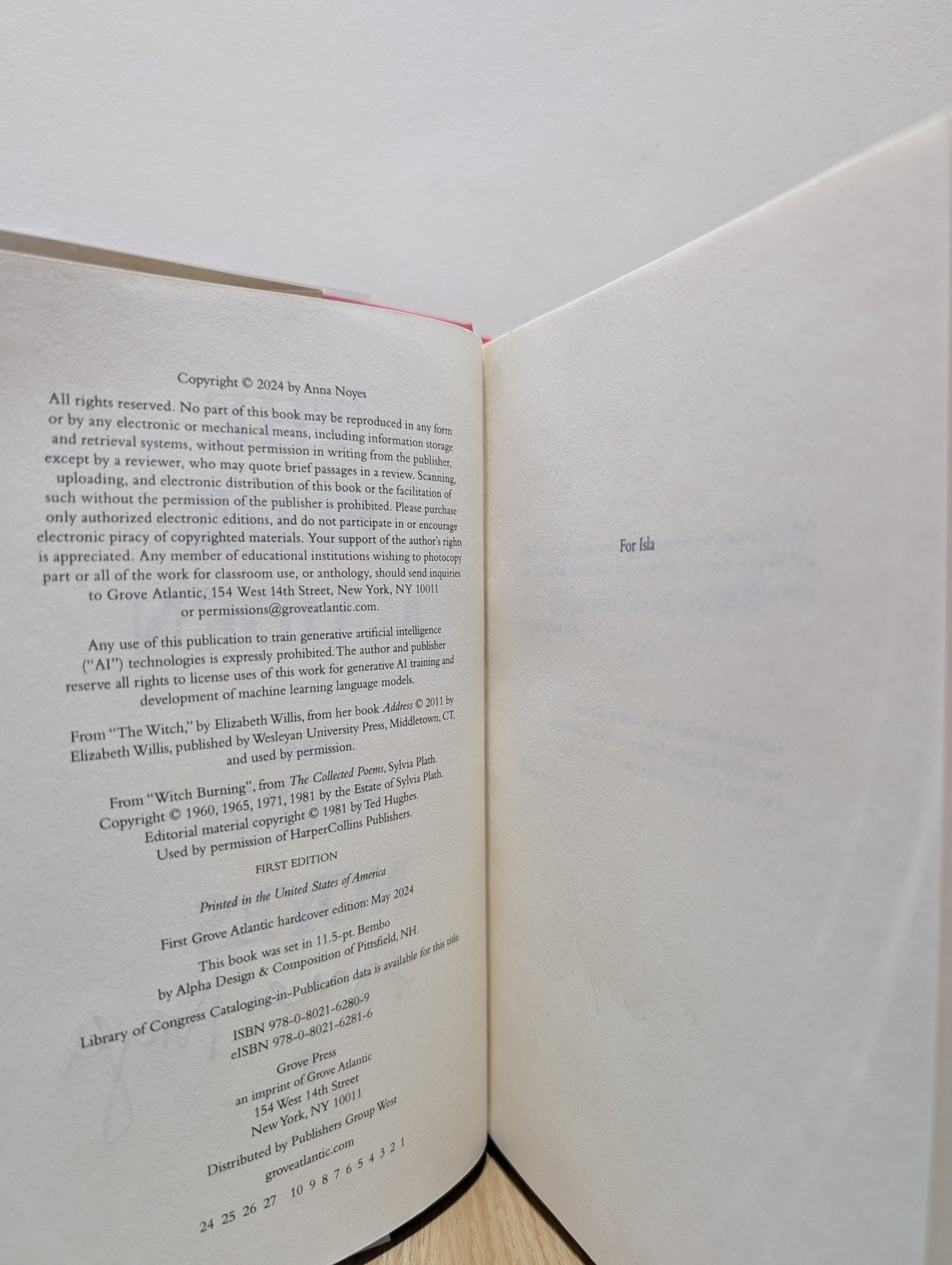The Blue Maiden by Anna Noyes (Signed First Edition) - Fialta Books