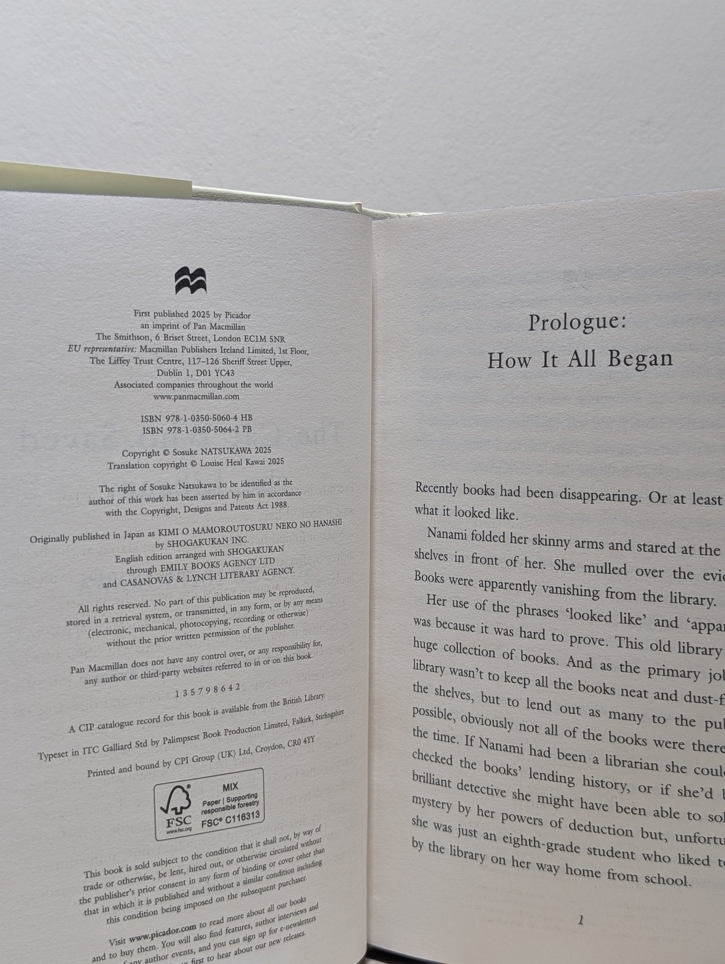 The Cat Who Saved the Library by Sosuke Natsukawa (First Edition with sprayed edges) - Fialta Books