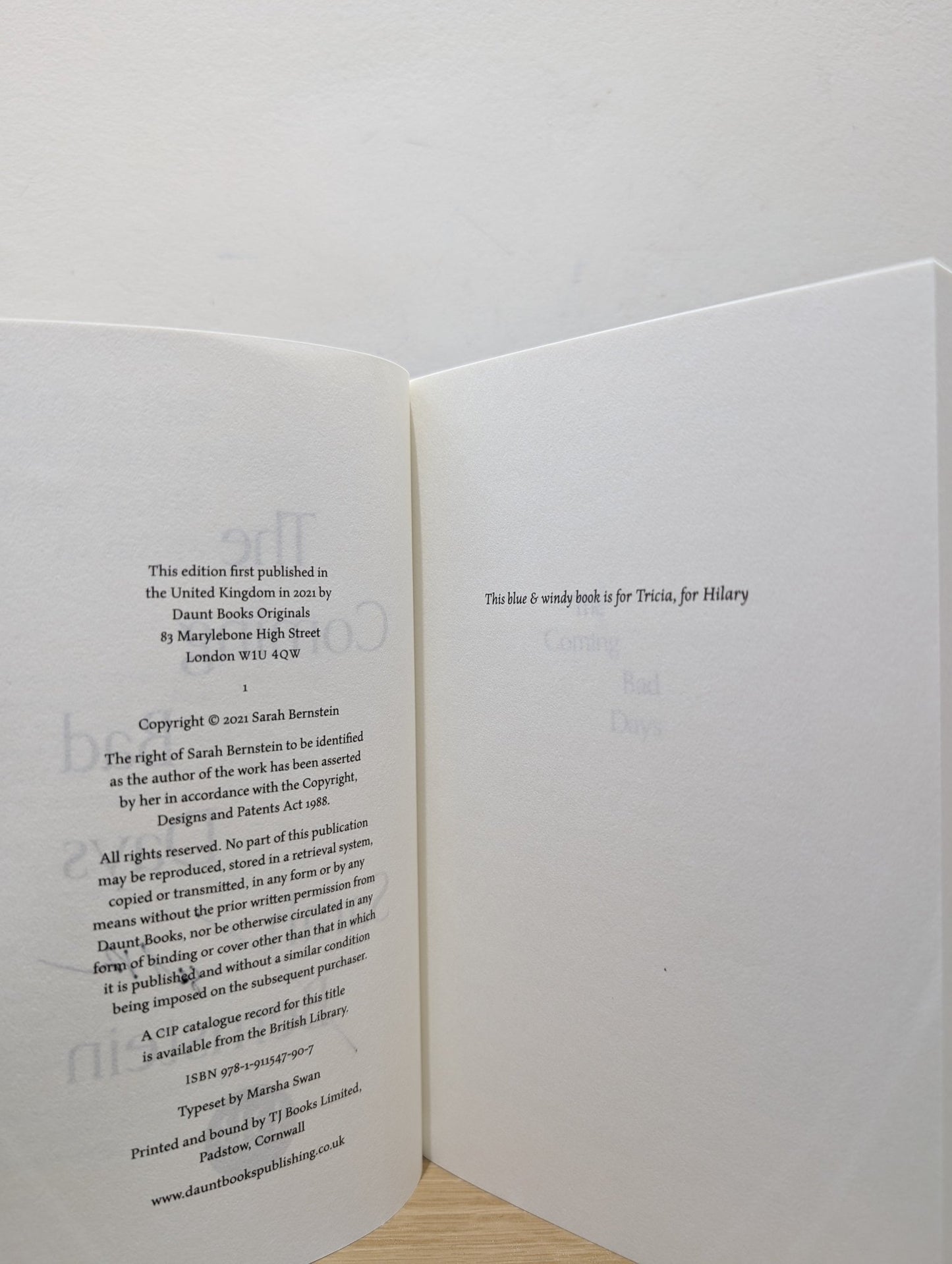 The Coming Bad Days by Sarah Bernstein (Signed First Edition) - Fialta Books