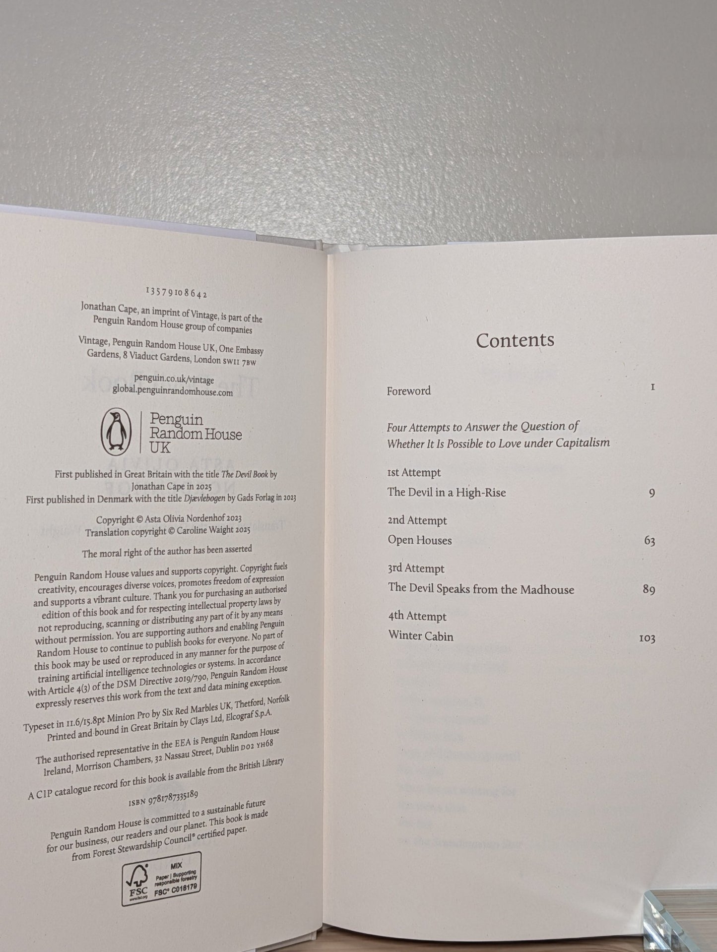The Devil Book by Asta Olivia Nordenhof (First Edition) - Fialta Books