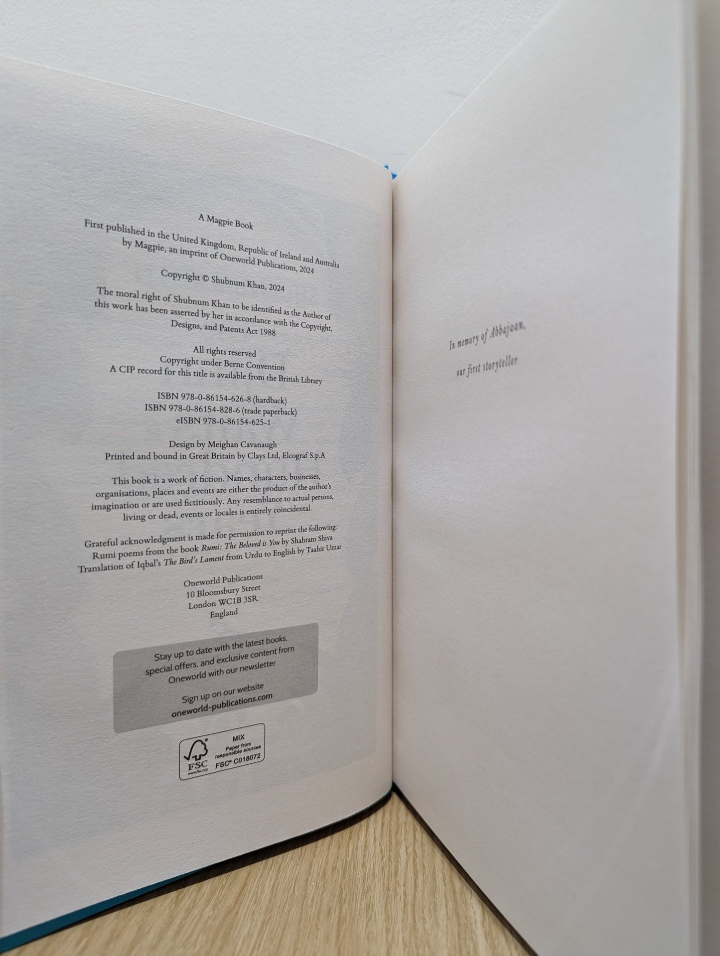 The Djinn Waits a Hundred Years by Shubnum Khan (First Edition) - Fialta Books