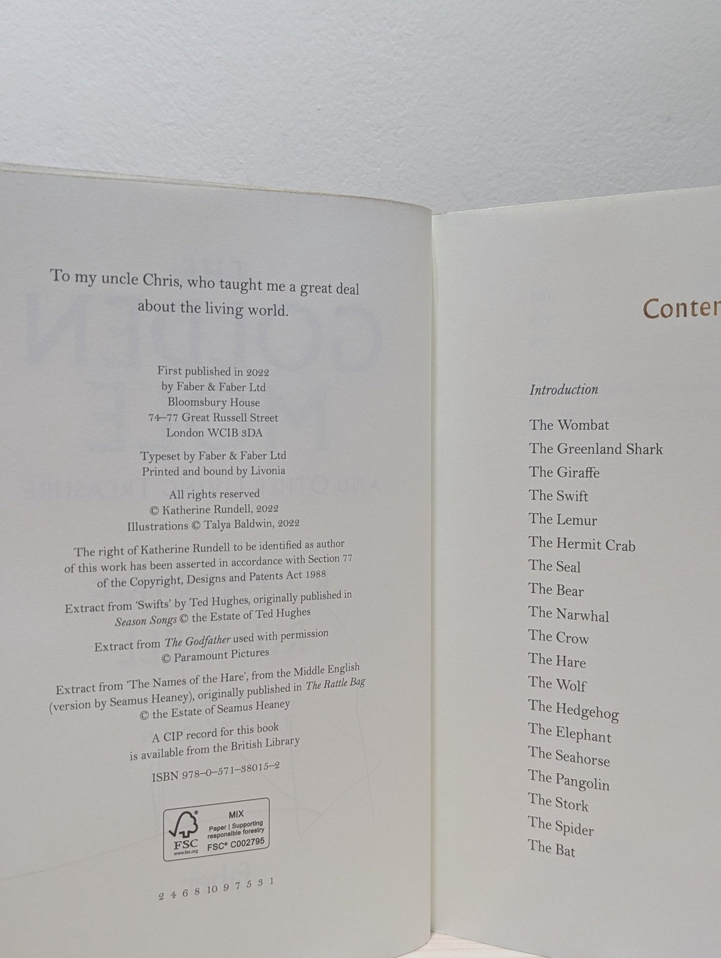 The Golden Mole by Katherine Rundell (Signed) - Fialta Books