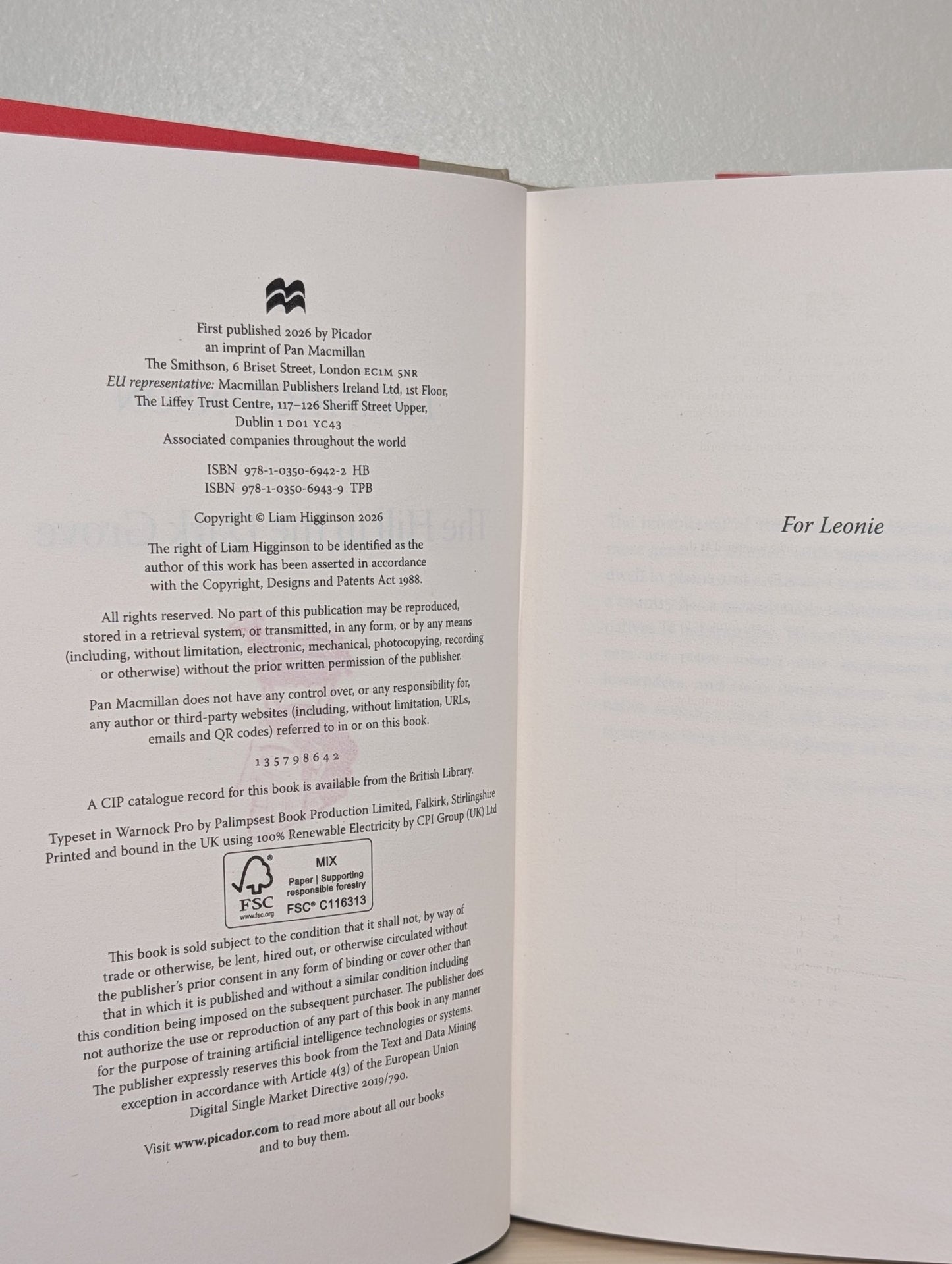 The Hill in the Dark Grove by Liam Higginson (Signed Stamped First Edition) - Fialta Books